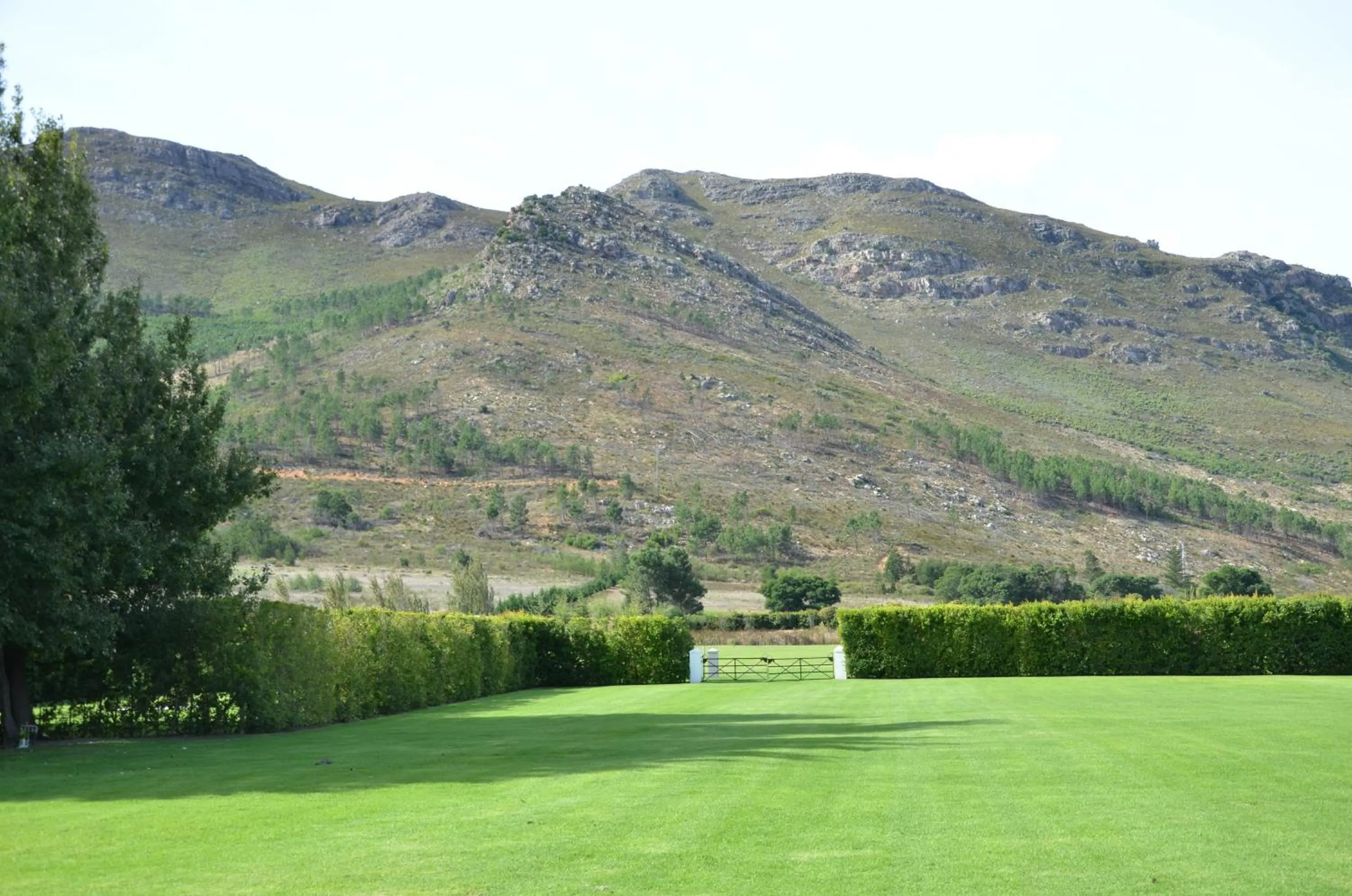 Natural landscape in La Paris Estate