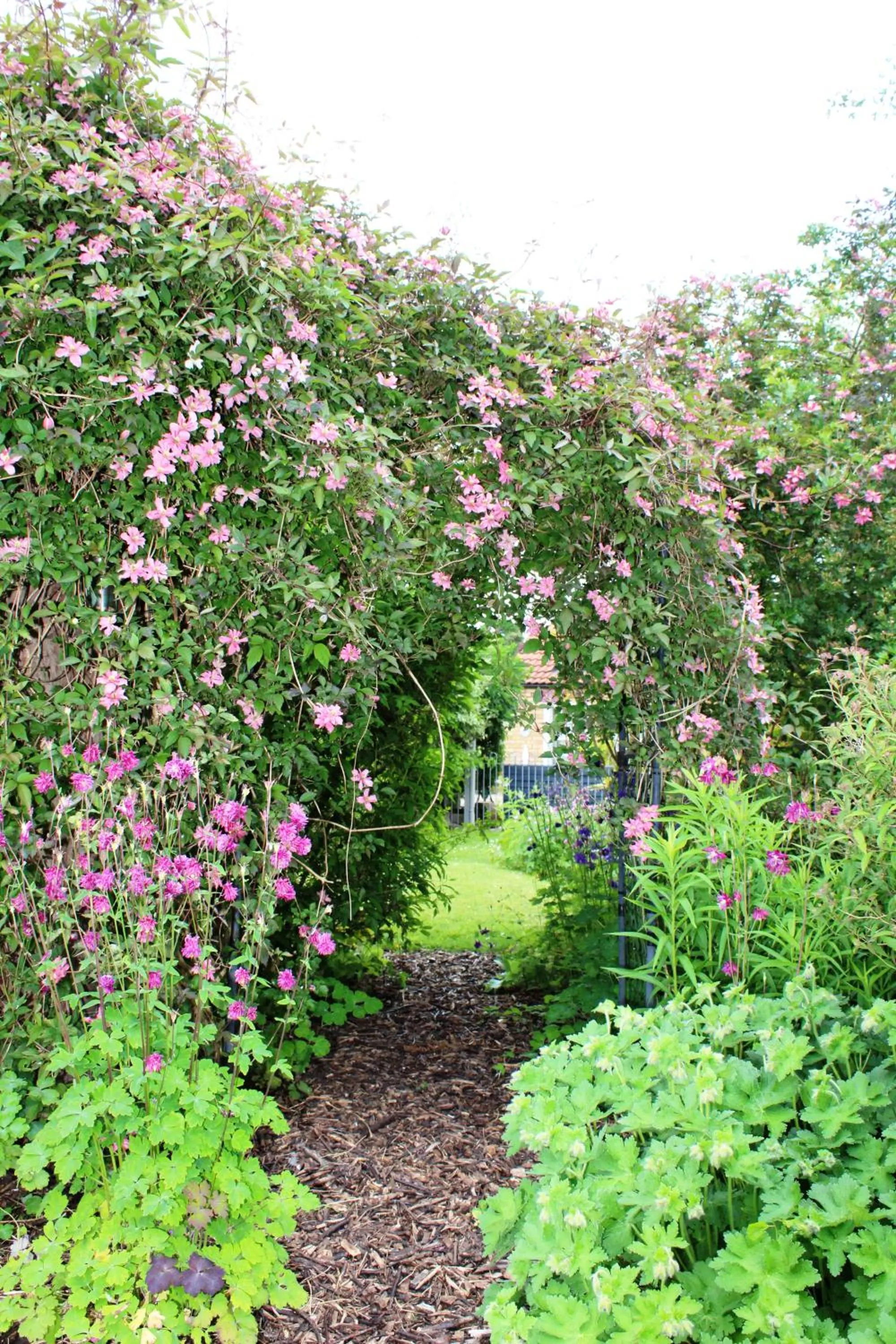 Natural landscape in The Vine B & B