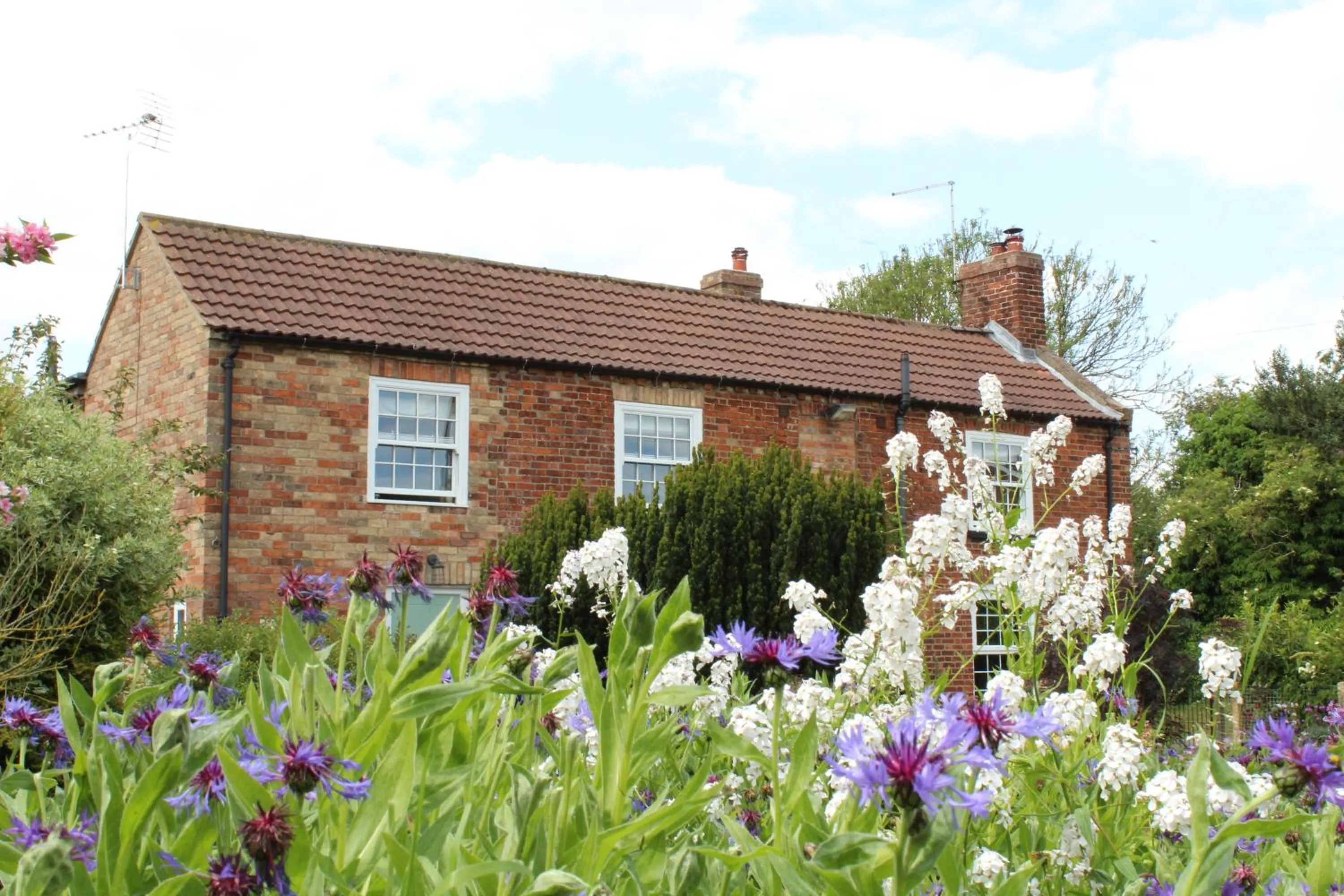 Garden view in The Vine B & B