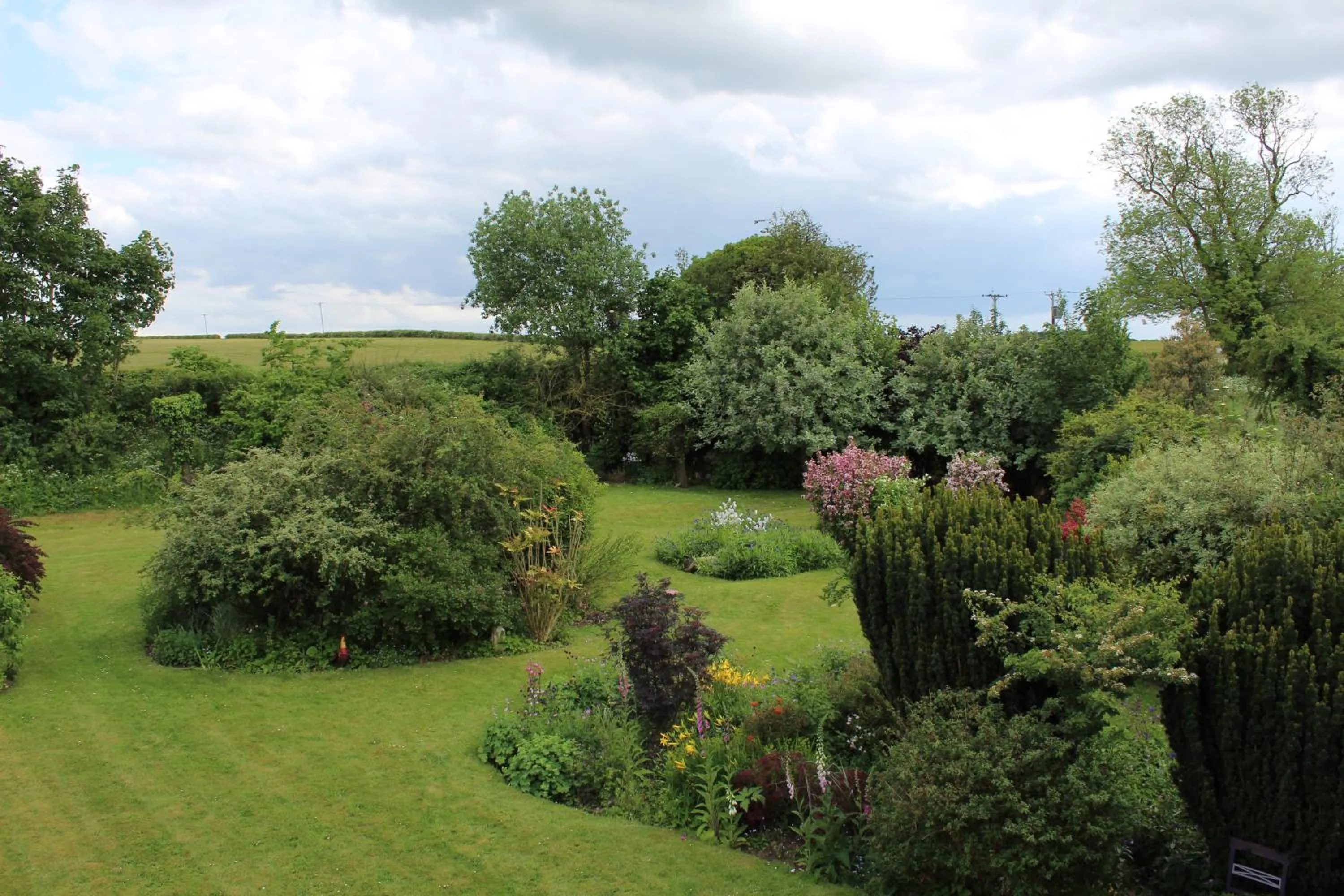 Garden in The Vine B & B