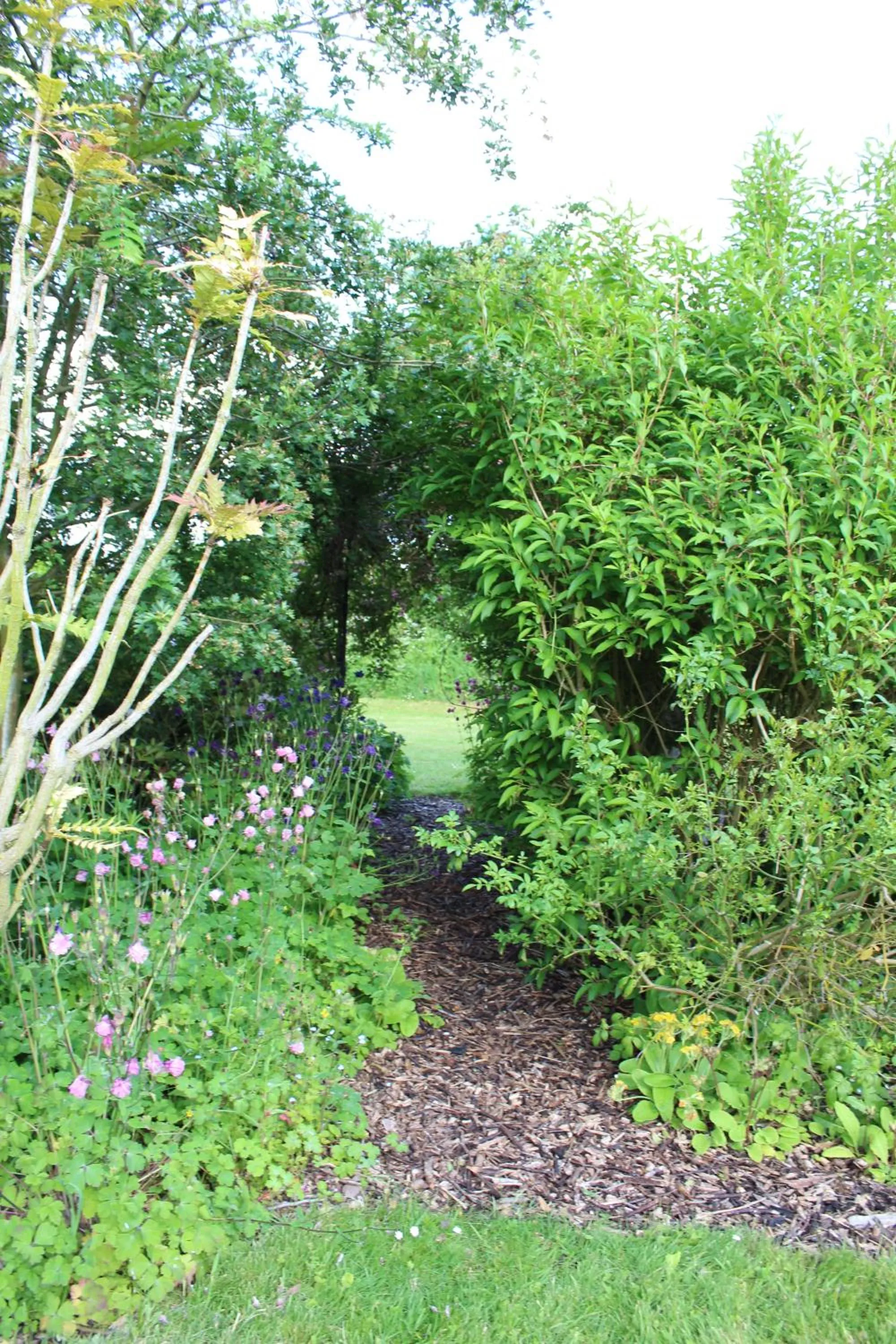 Garden in The Vine B & B