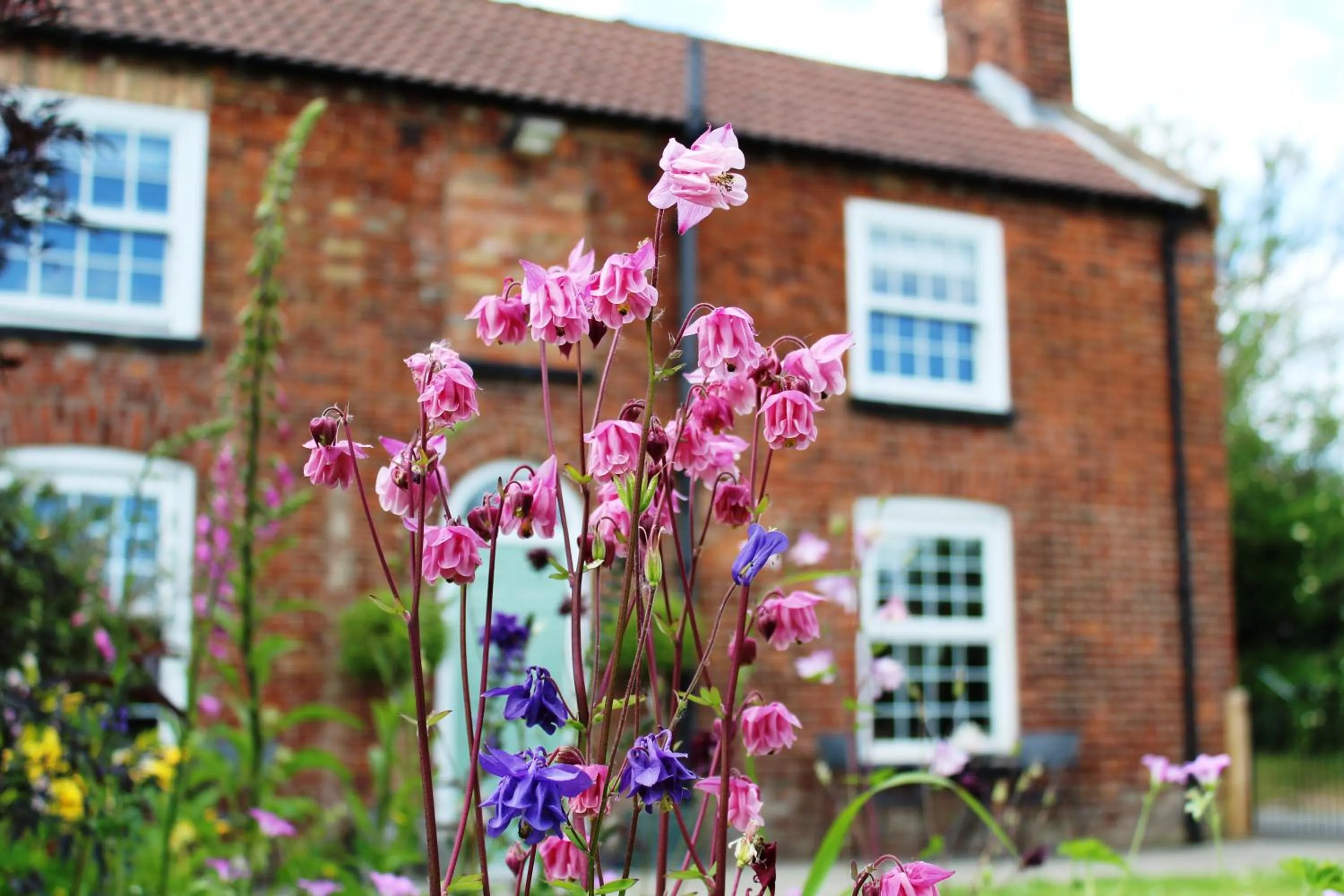 Property building in The Vine B & B