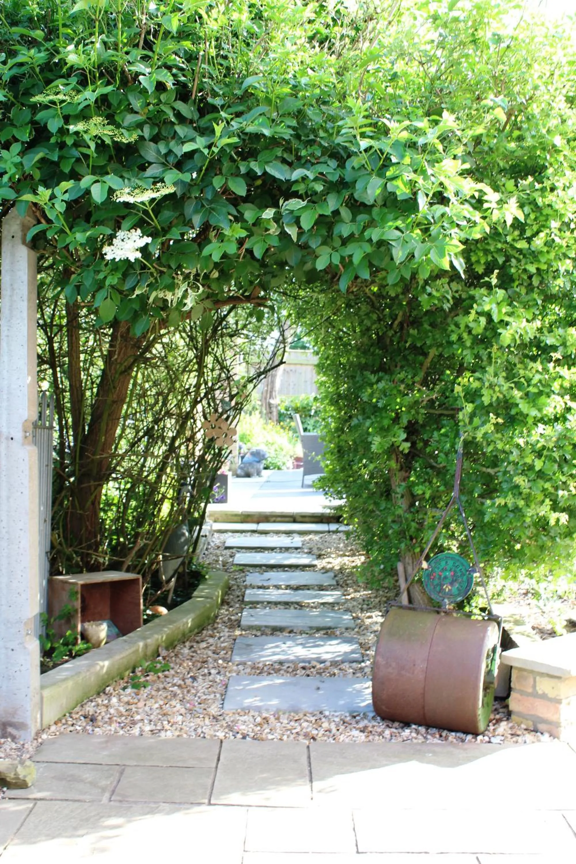 Garden in The Vine B & B