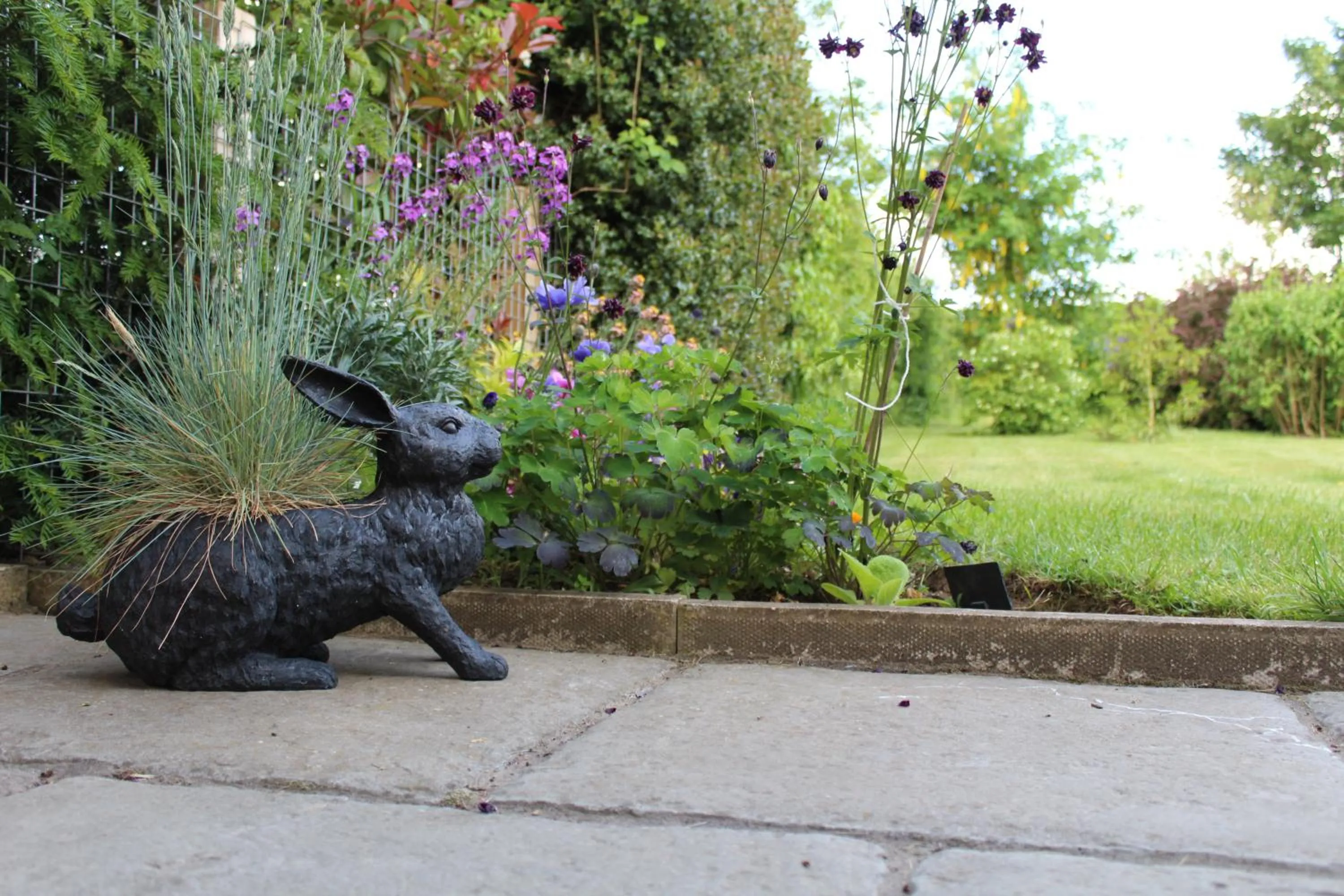 Garden in The Vine B & B