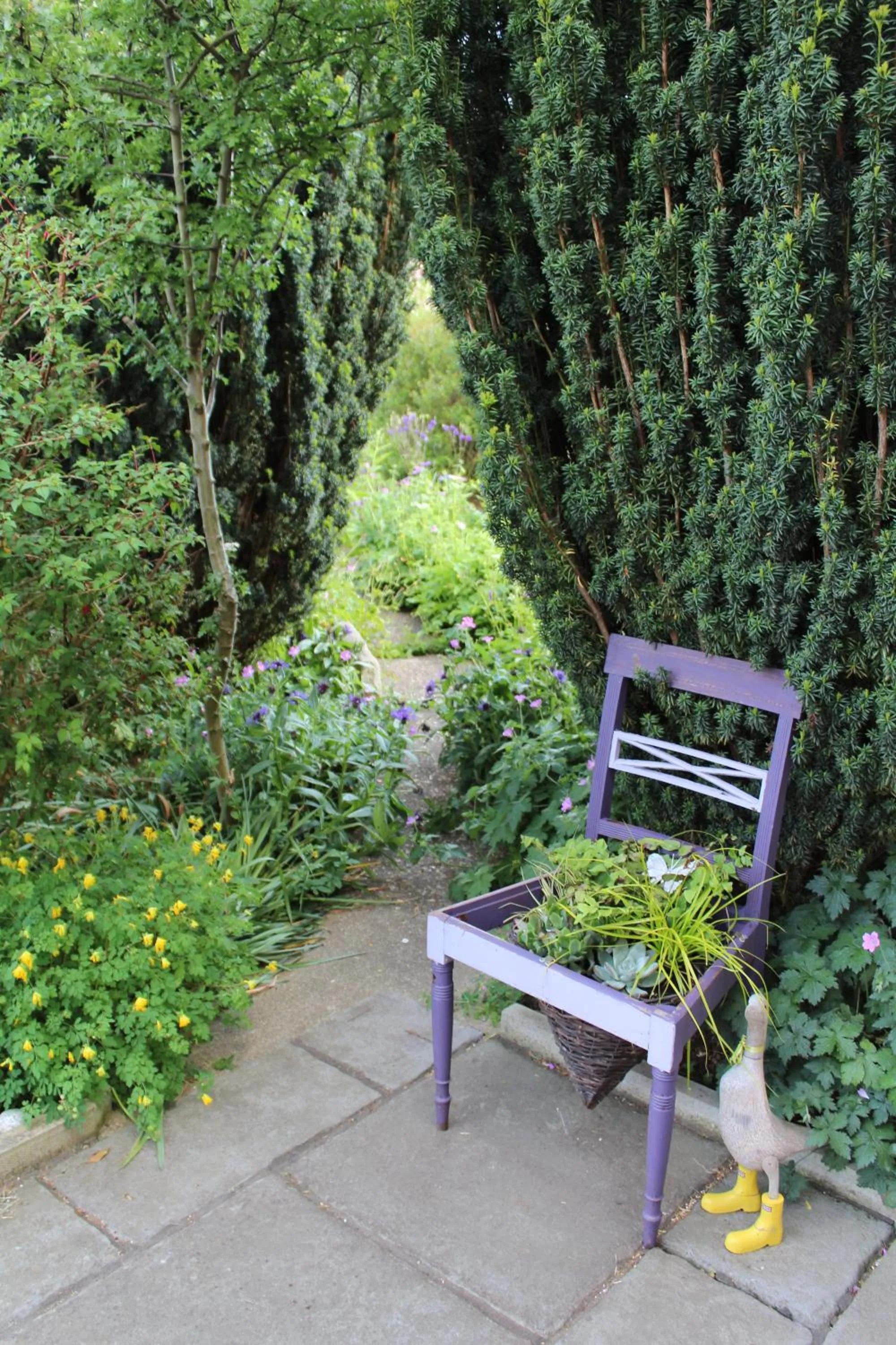 Patio in The Vine B & B