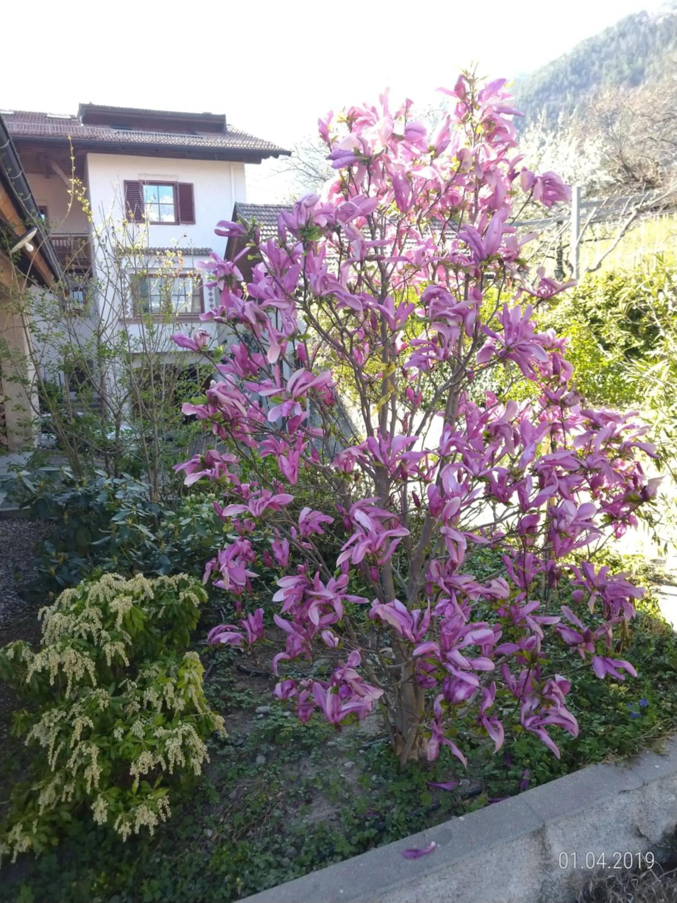 Unterdornerhof Unterdornerhof