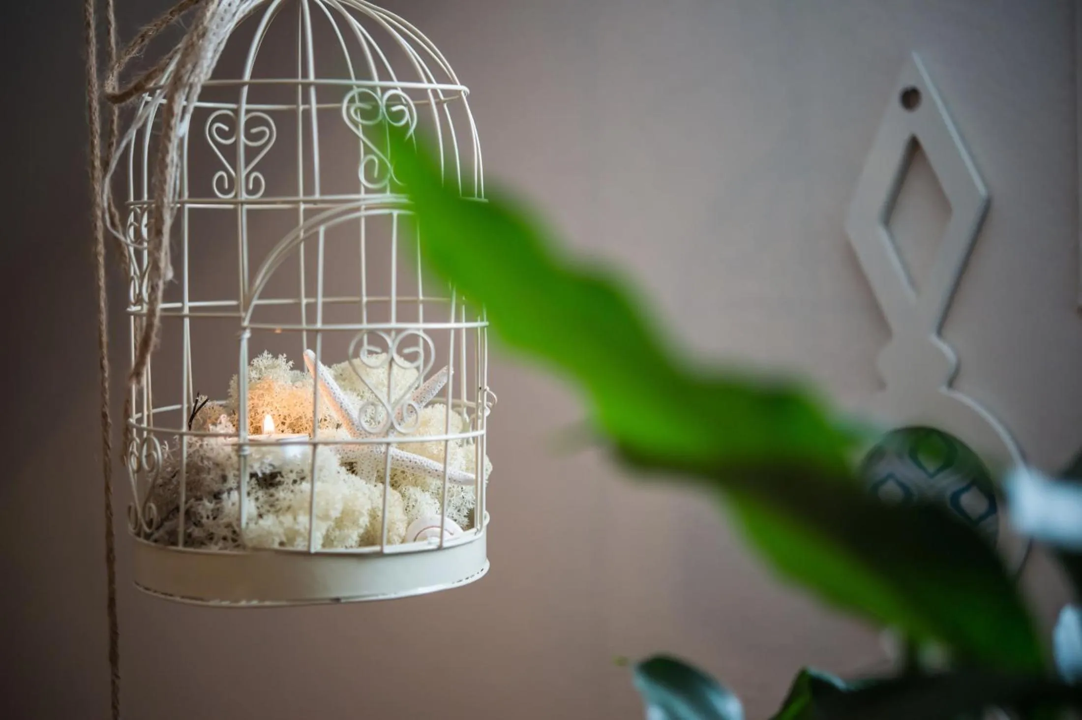 Decorative detail in Aphrodite Studios