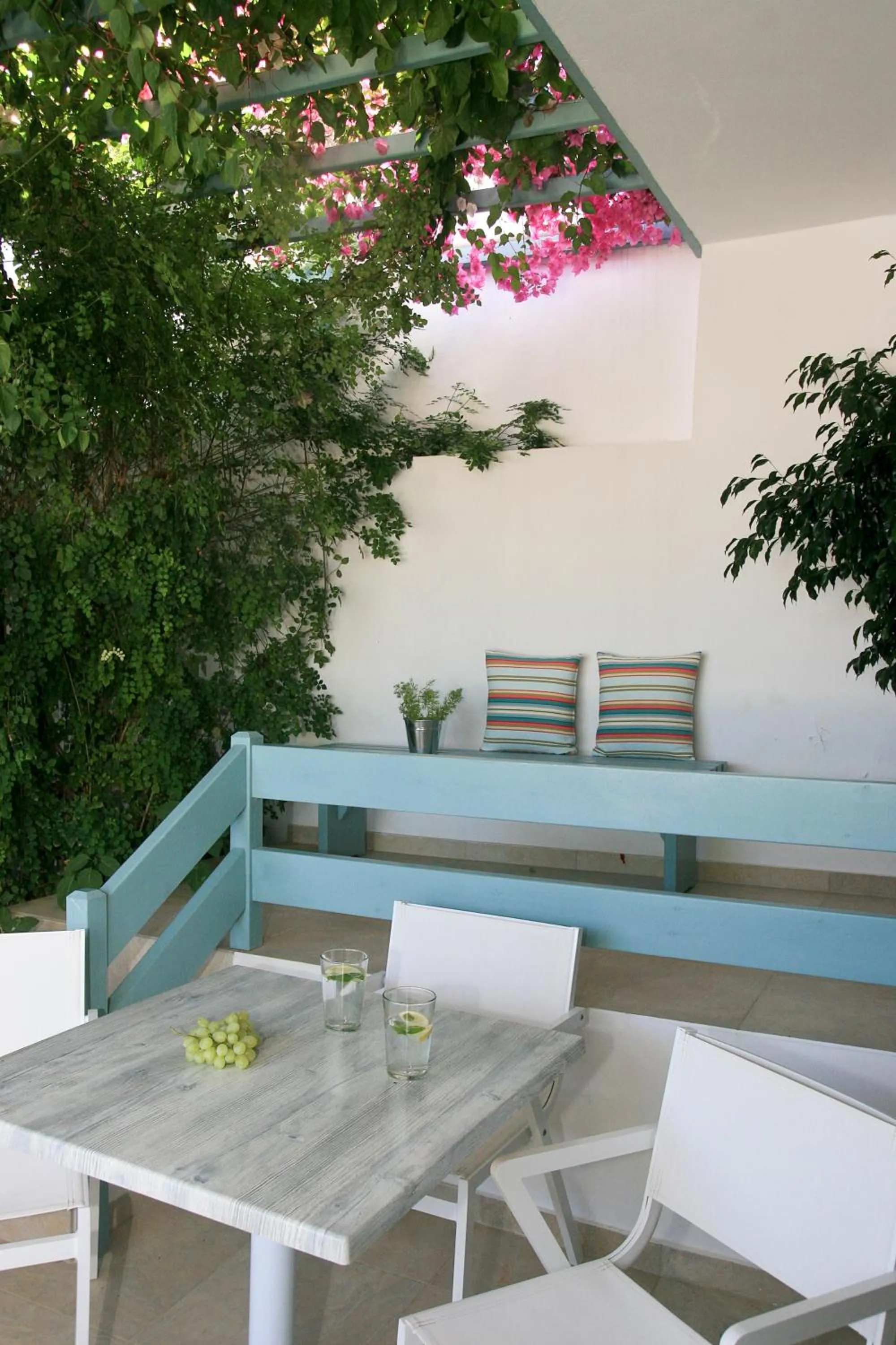 Garden in Aphrodite Studios