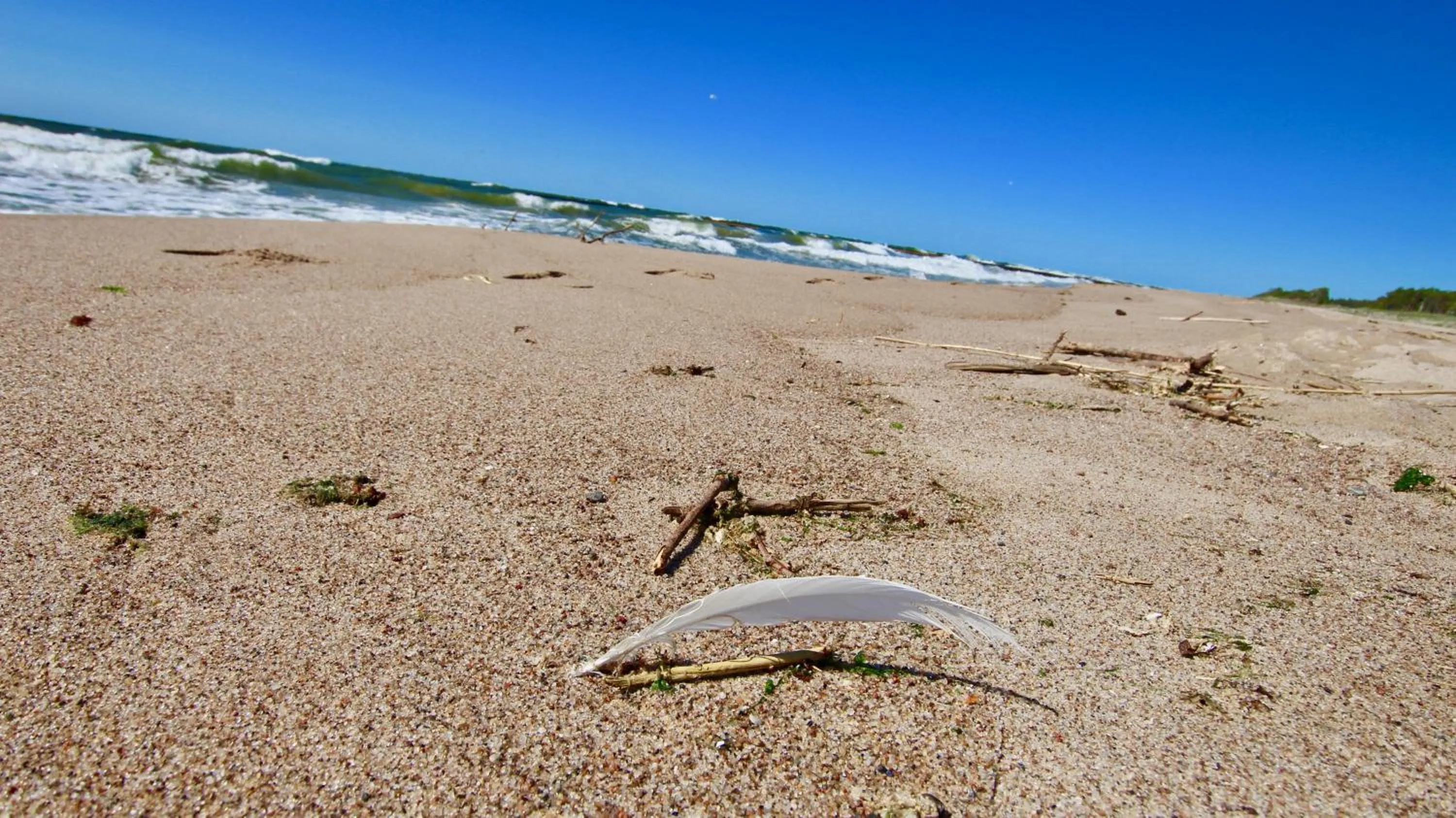 Beach in Marina Royale Darłowo - Apartamenty Ultra Mar nad morzem
