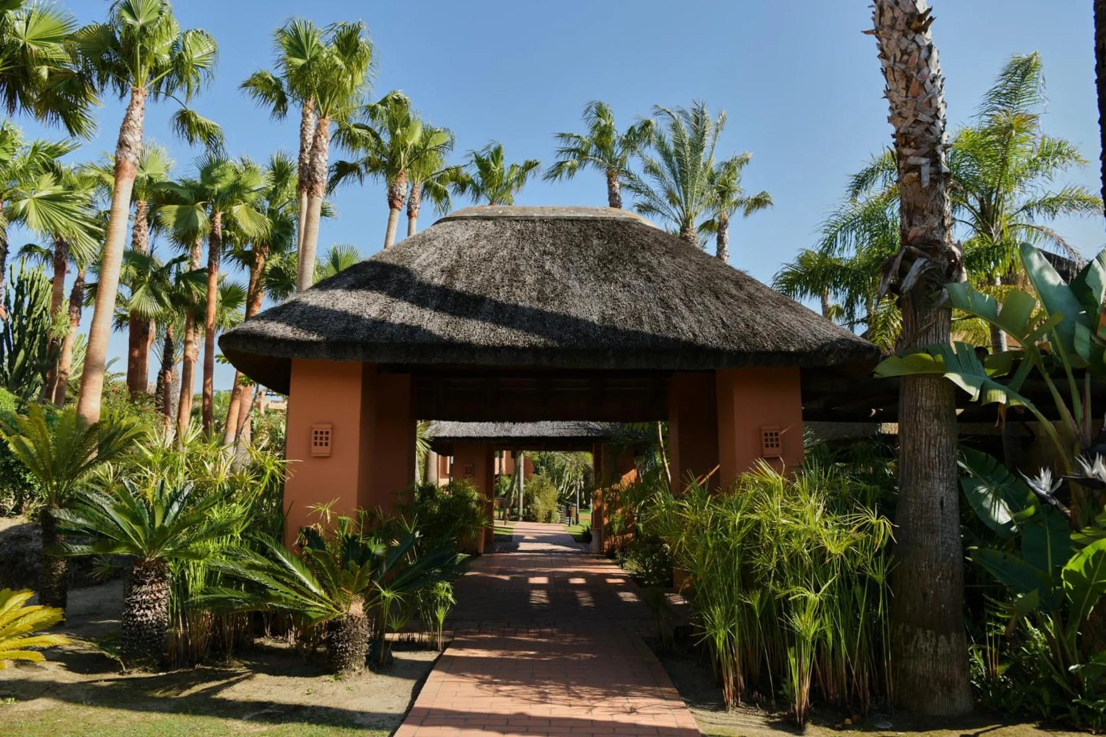 Garden in Aparthotel Novo Resort