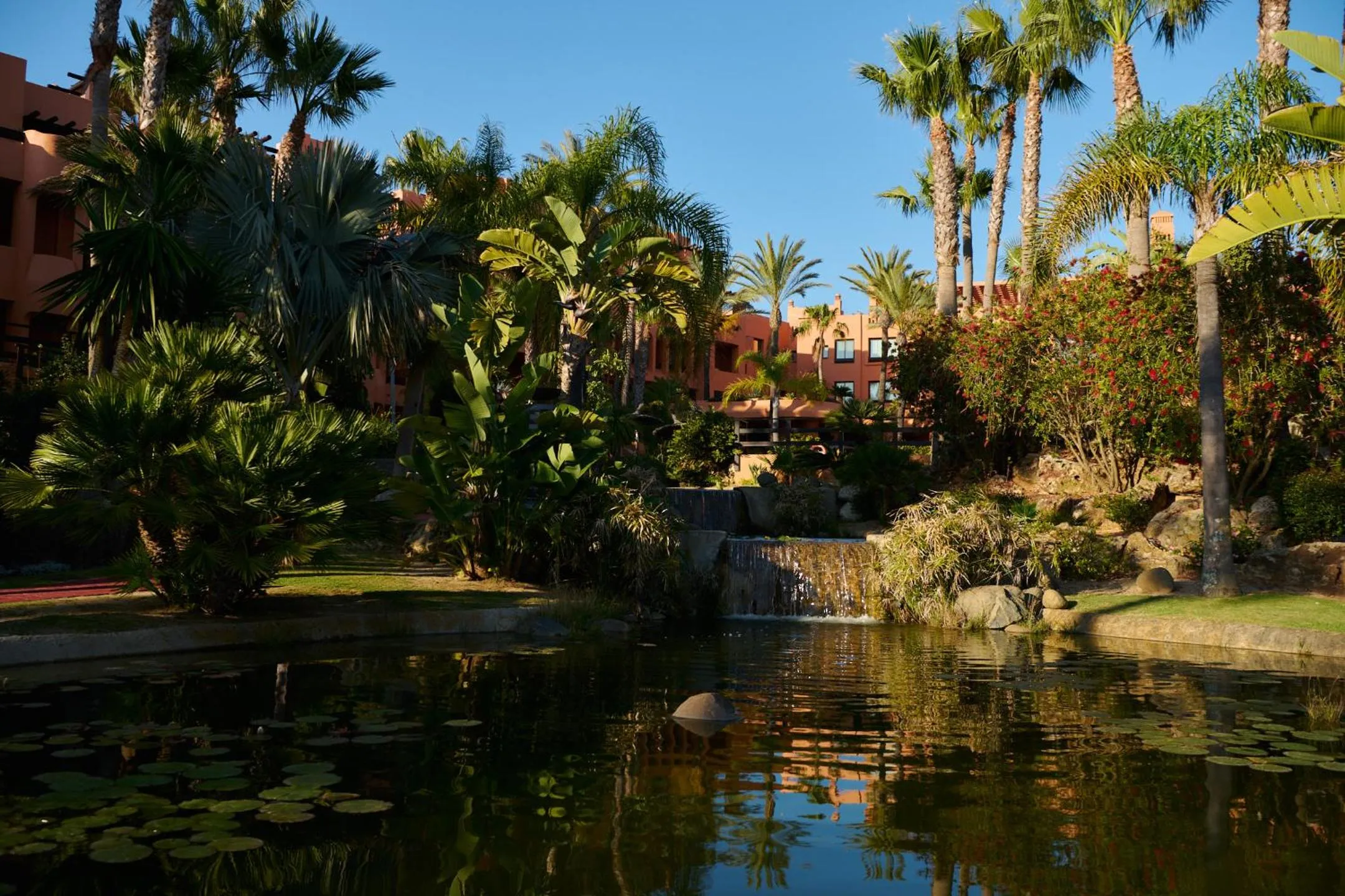 Garden in Aparthotel Novo Resort
