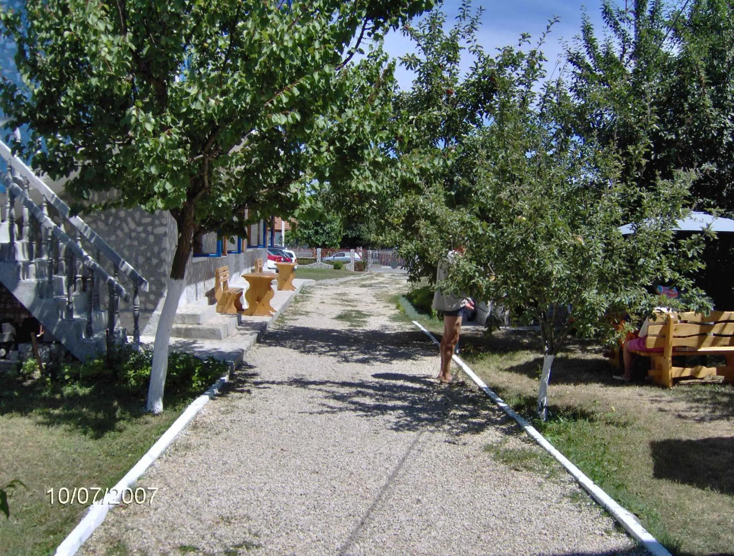 Garden in Tourist Paradis Costinesti