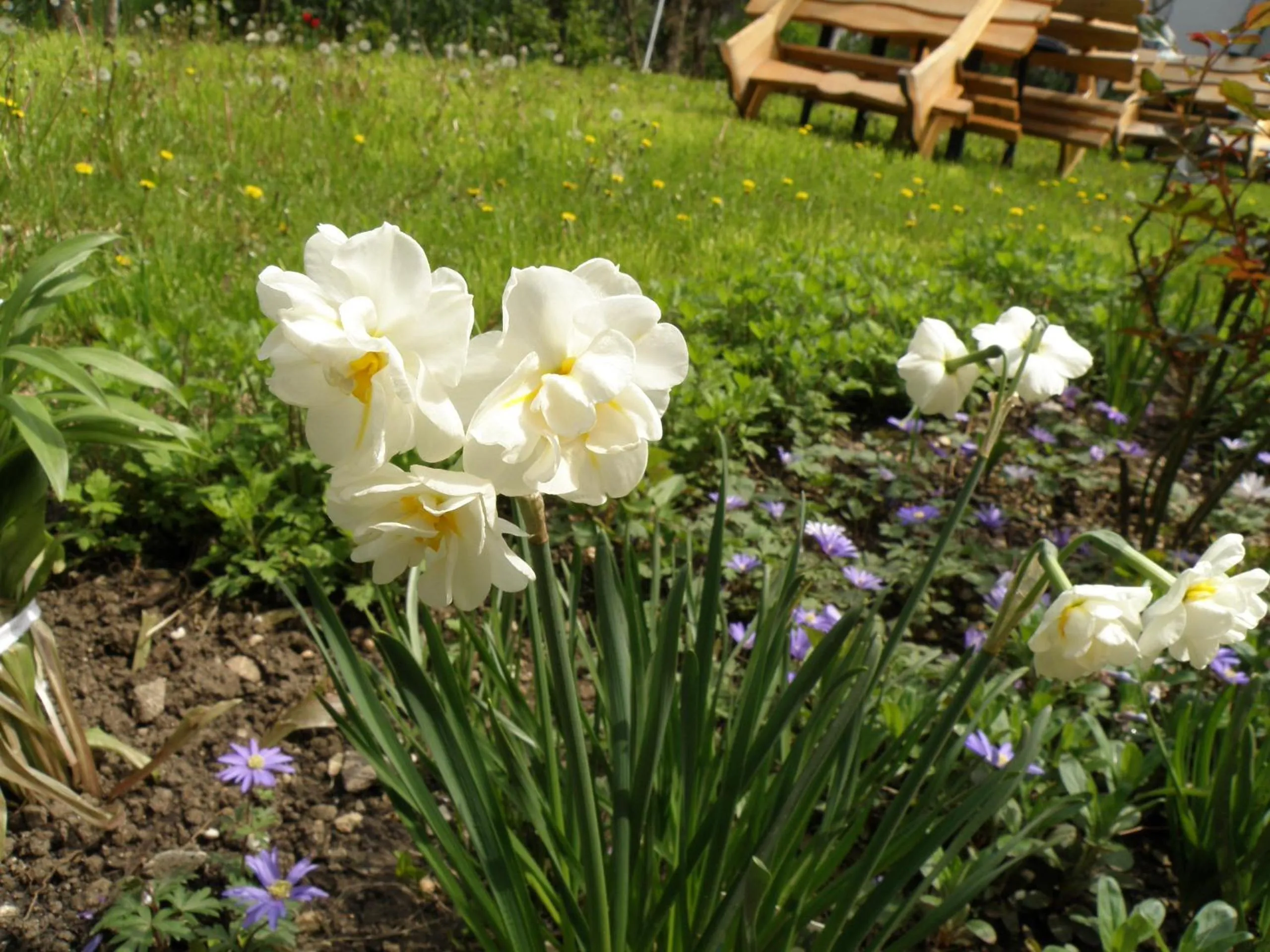 Spring in Tourist Paradis Costinesti