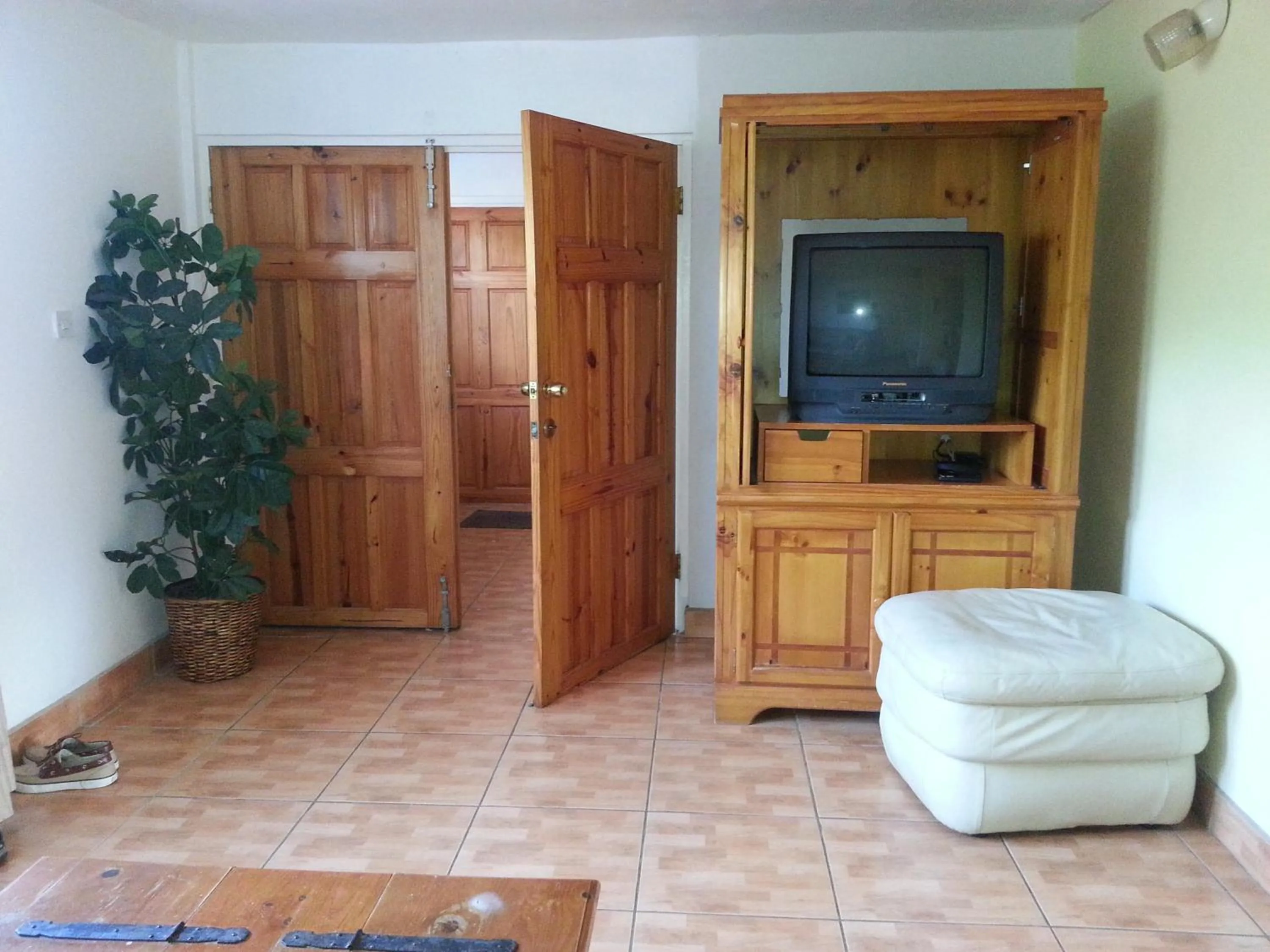 TV and multimedia in Cool Running Apartments