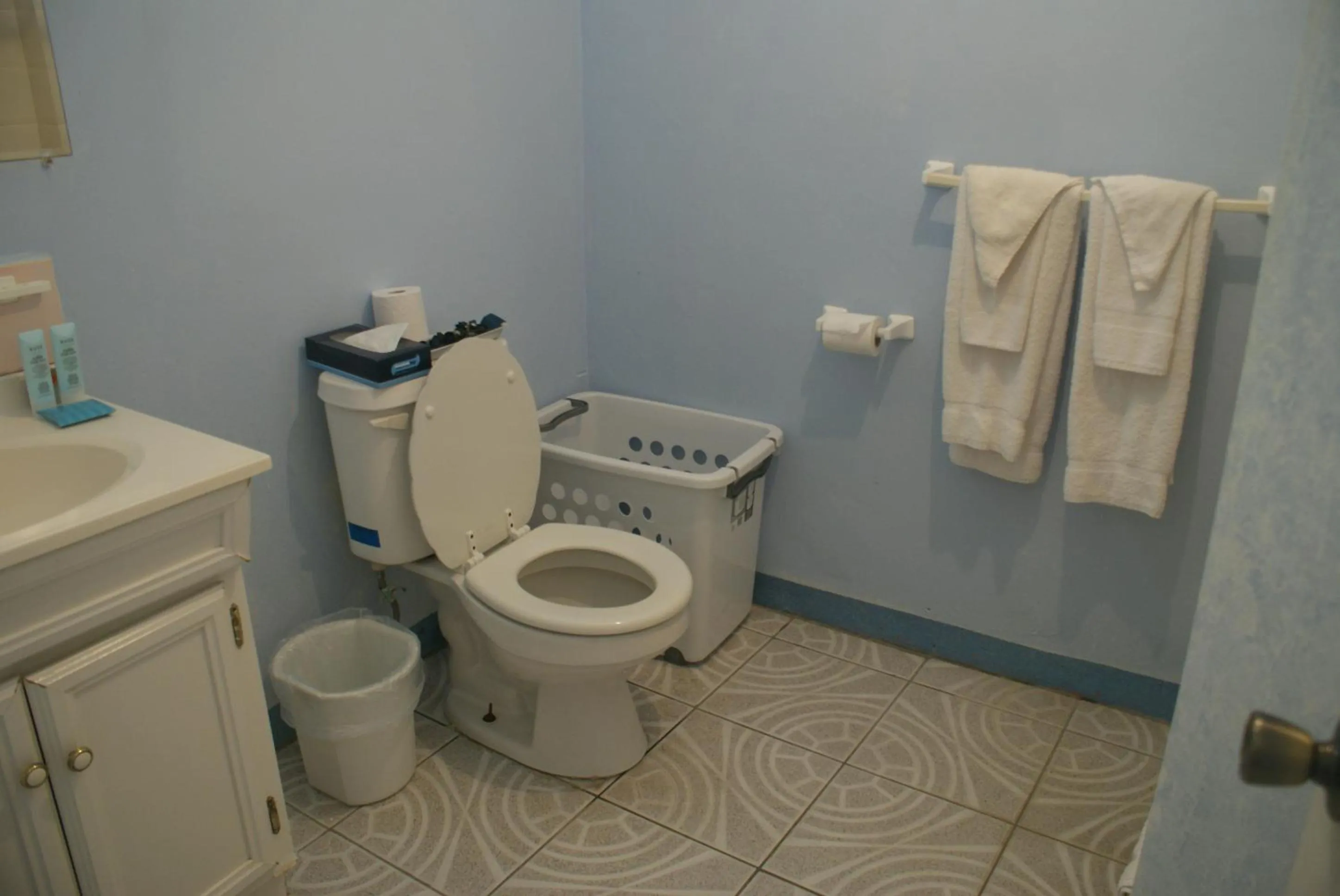 Toilet in Cool Running Apartments