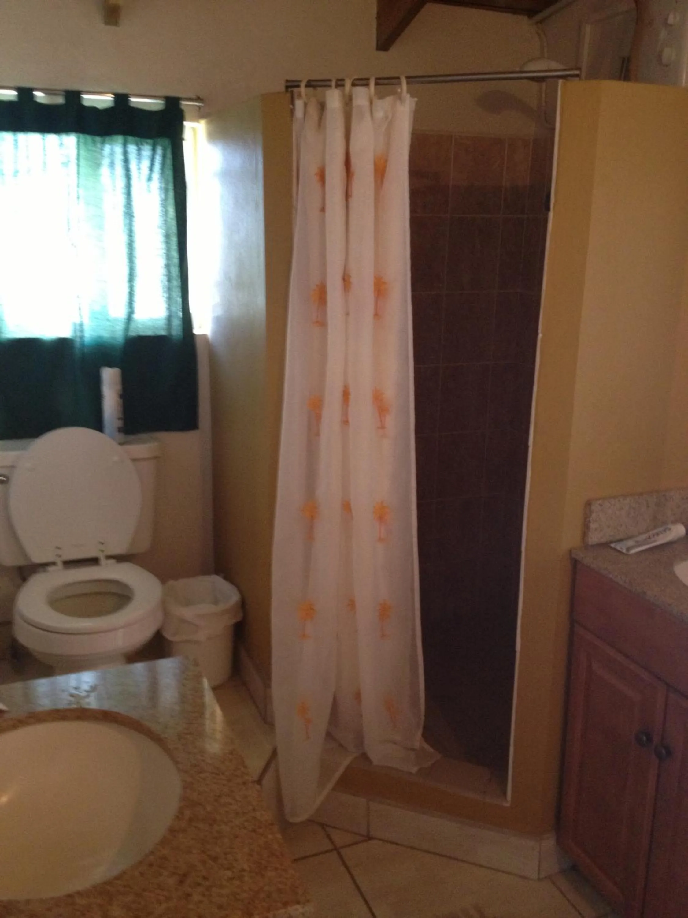 Shower in Cool Running Apartments