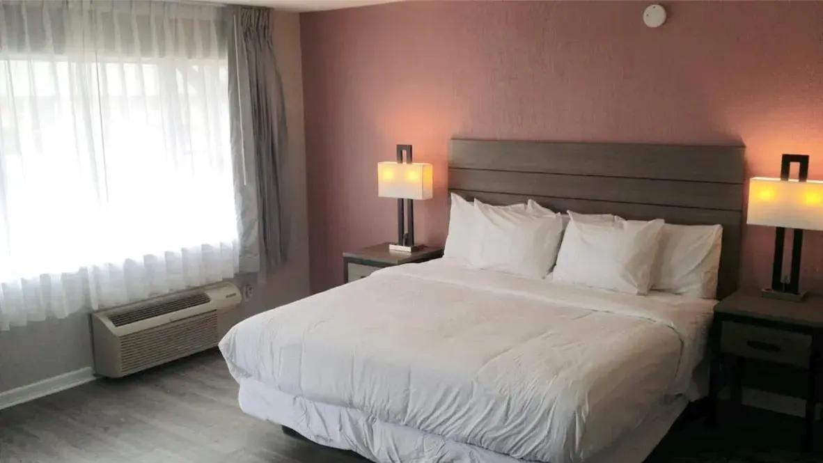 Bed in Econo Lodge Inn & Suites Abilene East District Bed in Econo Lodge Inn & Suites Abilene East District