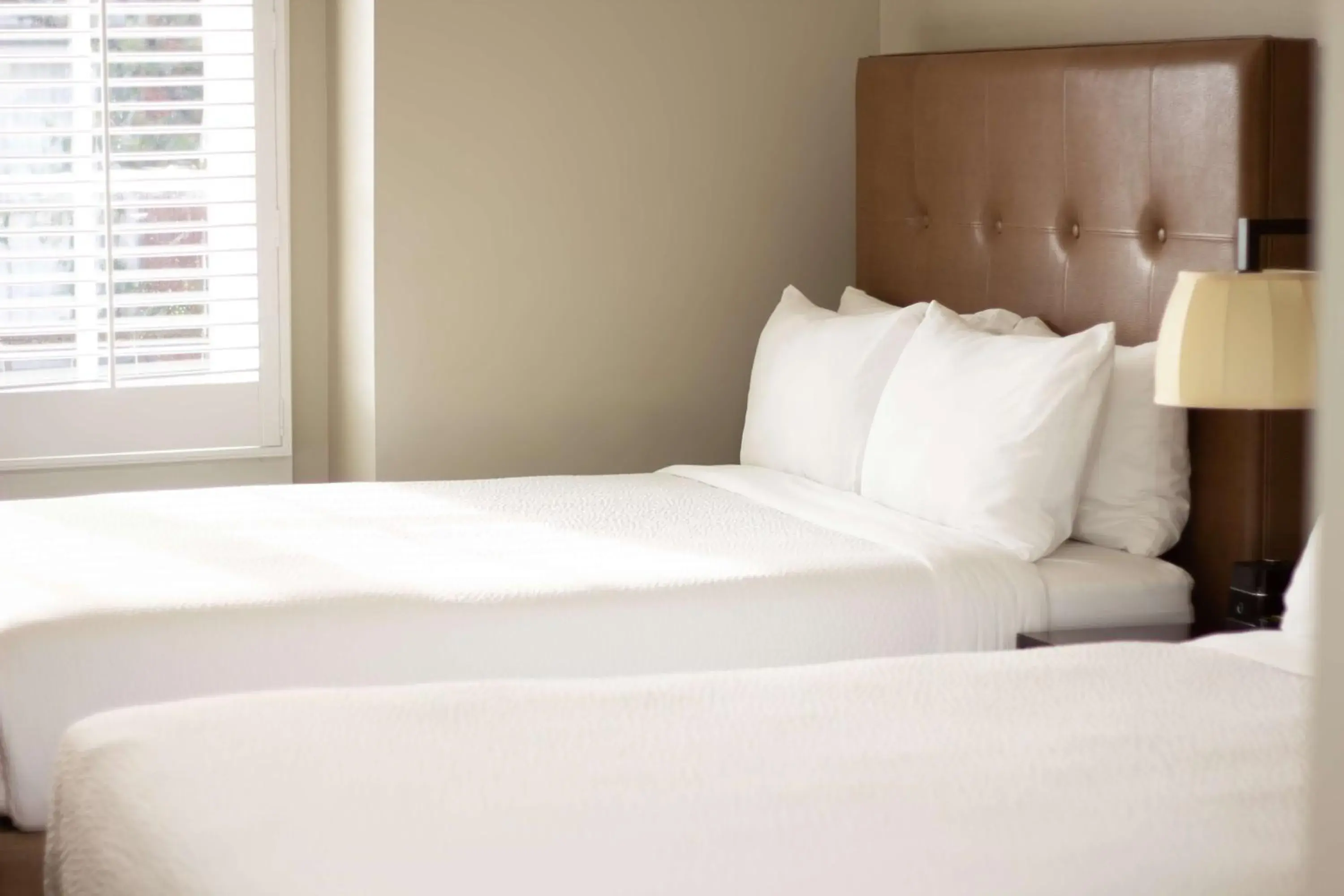 Bed in Hotel Petaluma, Tapestry Collection by Hilton Bed in Hotel Petaluma, Tapestry Collection by Hilton