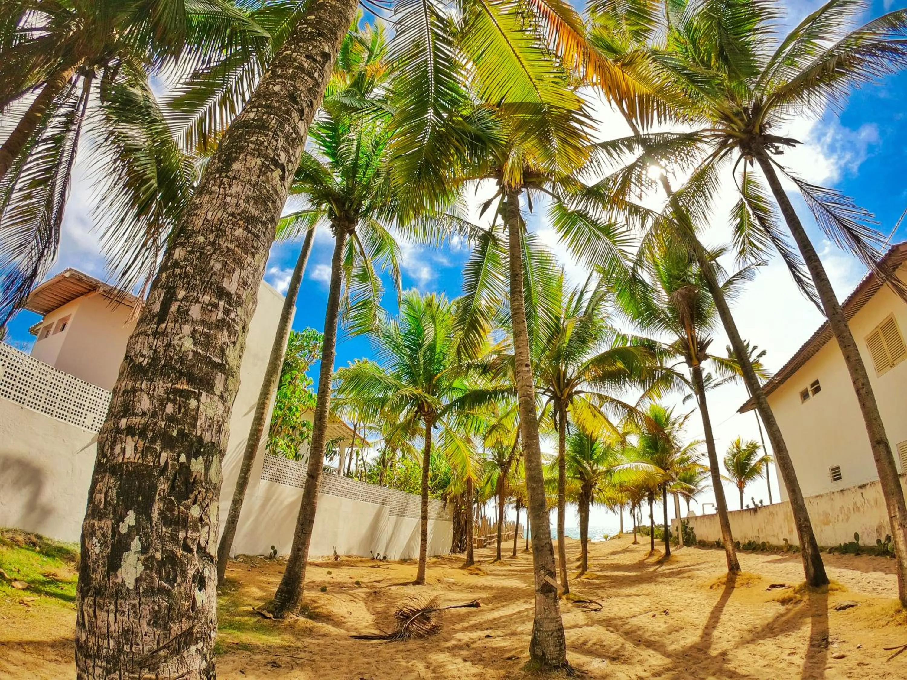 Natural landscape in Pousada Sereia do Porto