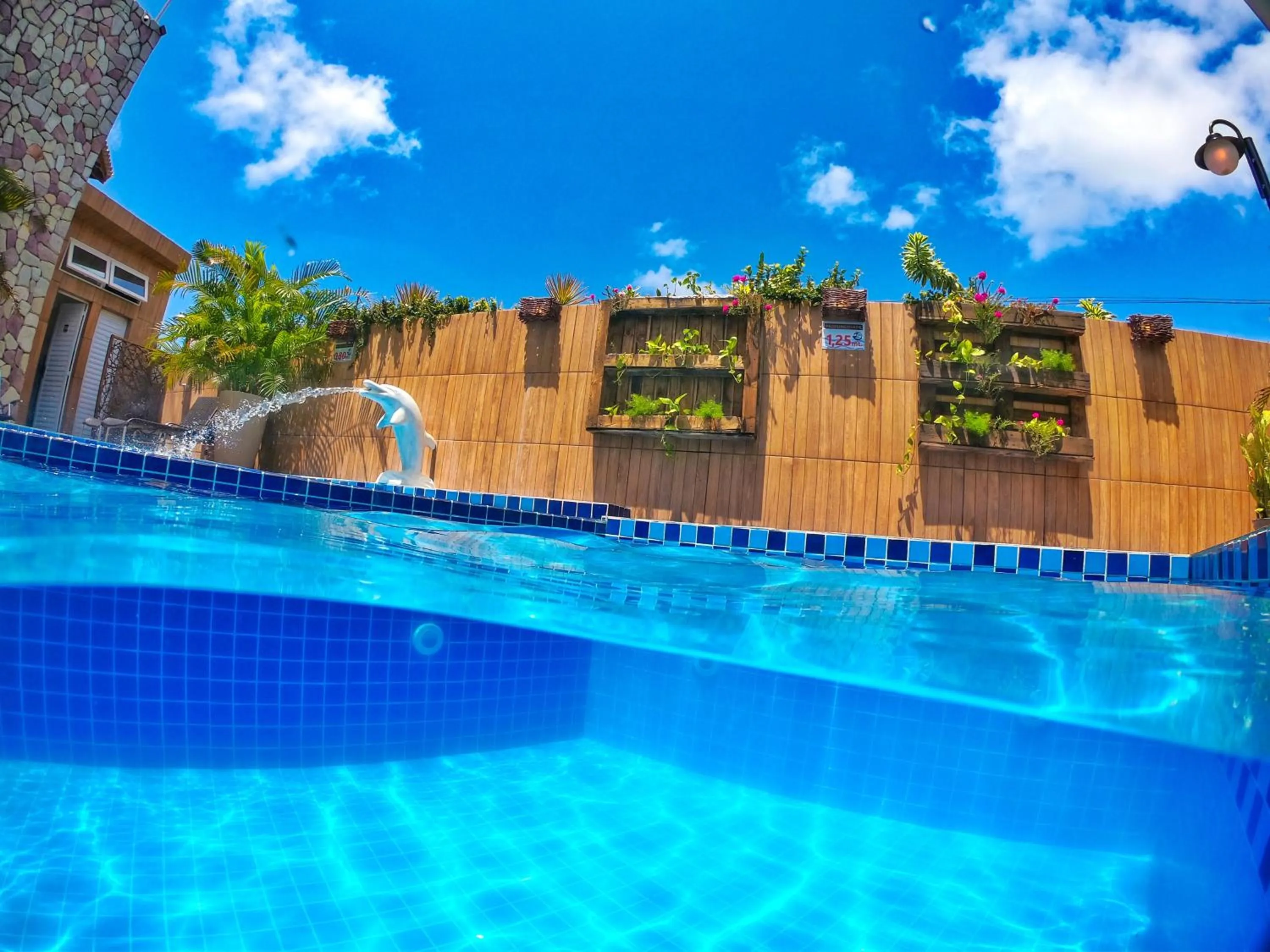 Pool view in Pousada Sereia do Porto