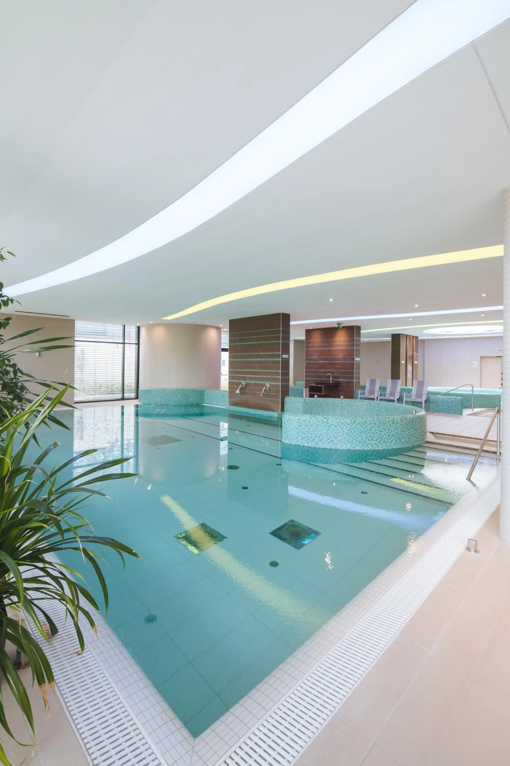 Swimming pool in Imola Hotel Platán