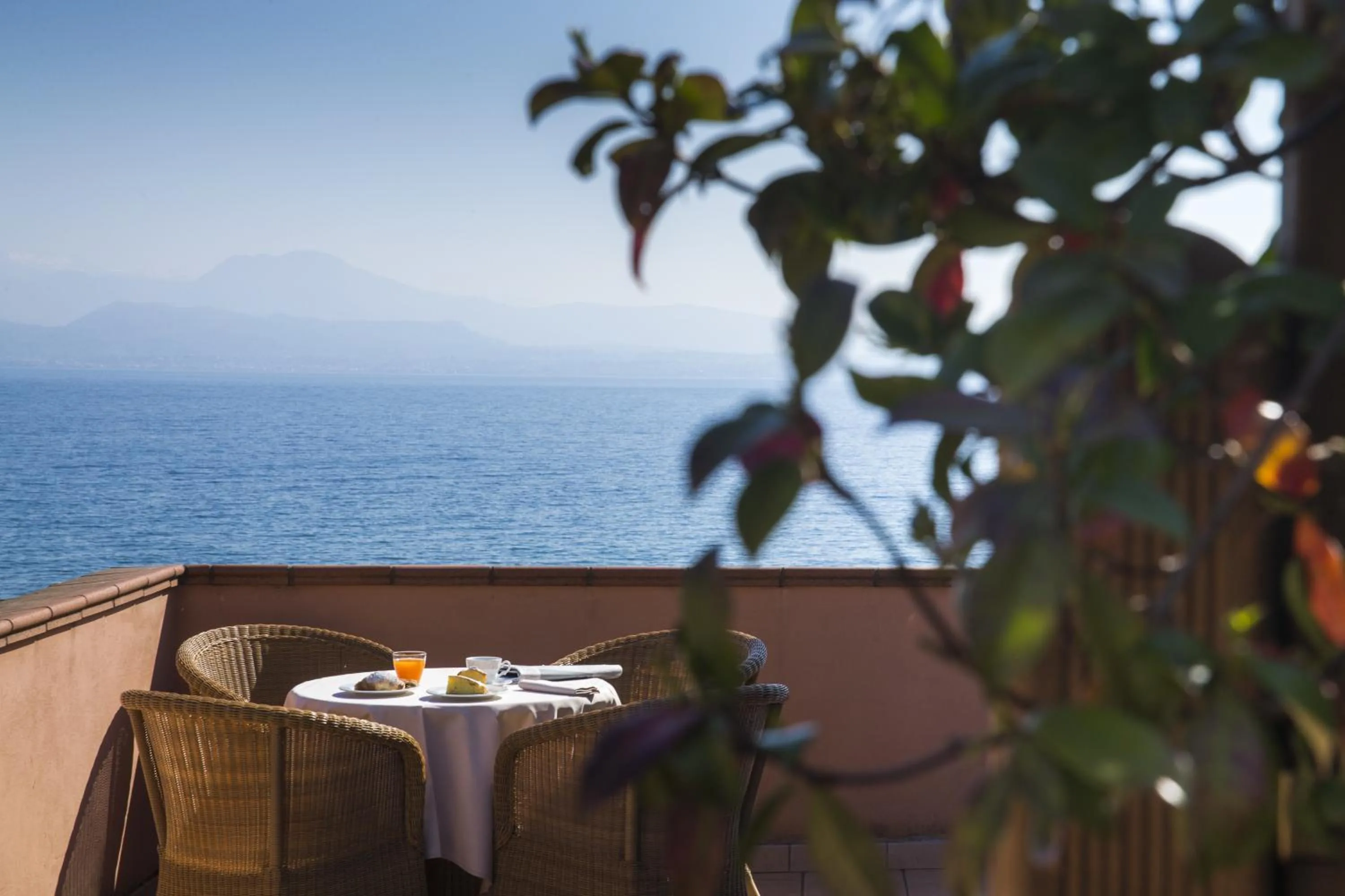 Balcony/Terrace in Hotel Degli Oleandri