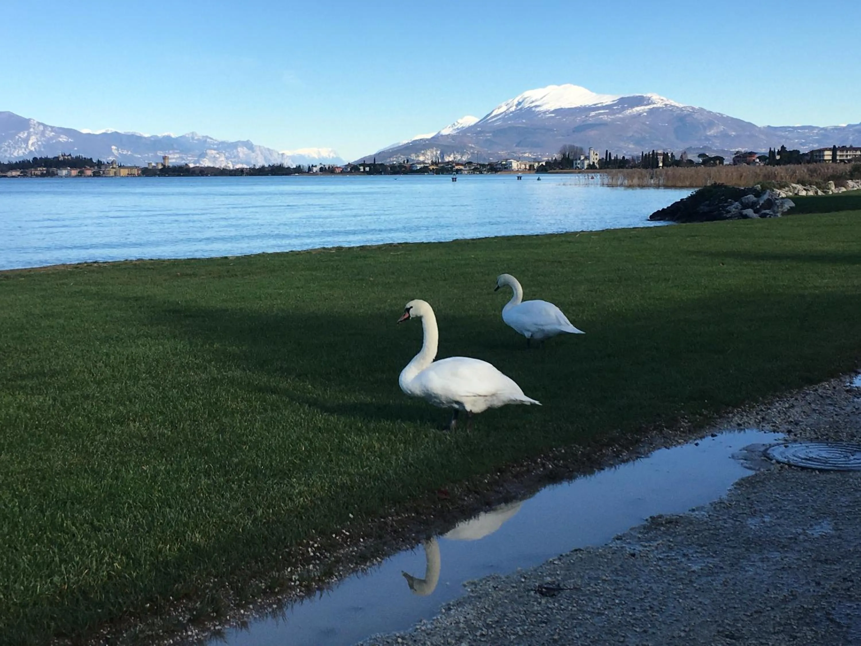 Nearby landmark in Hotel Villa Rosa