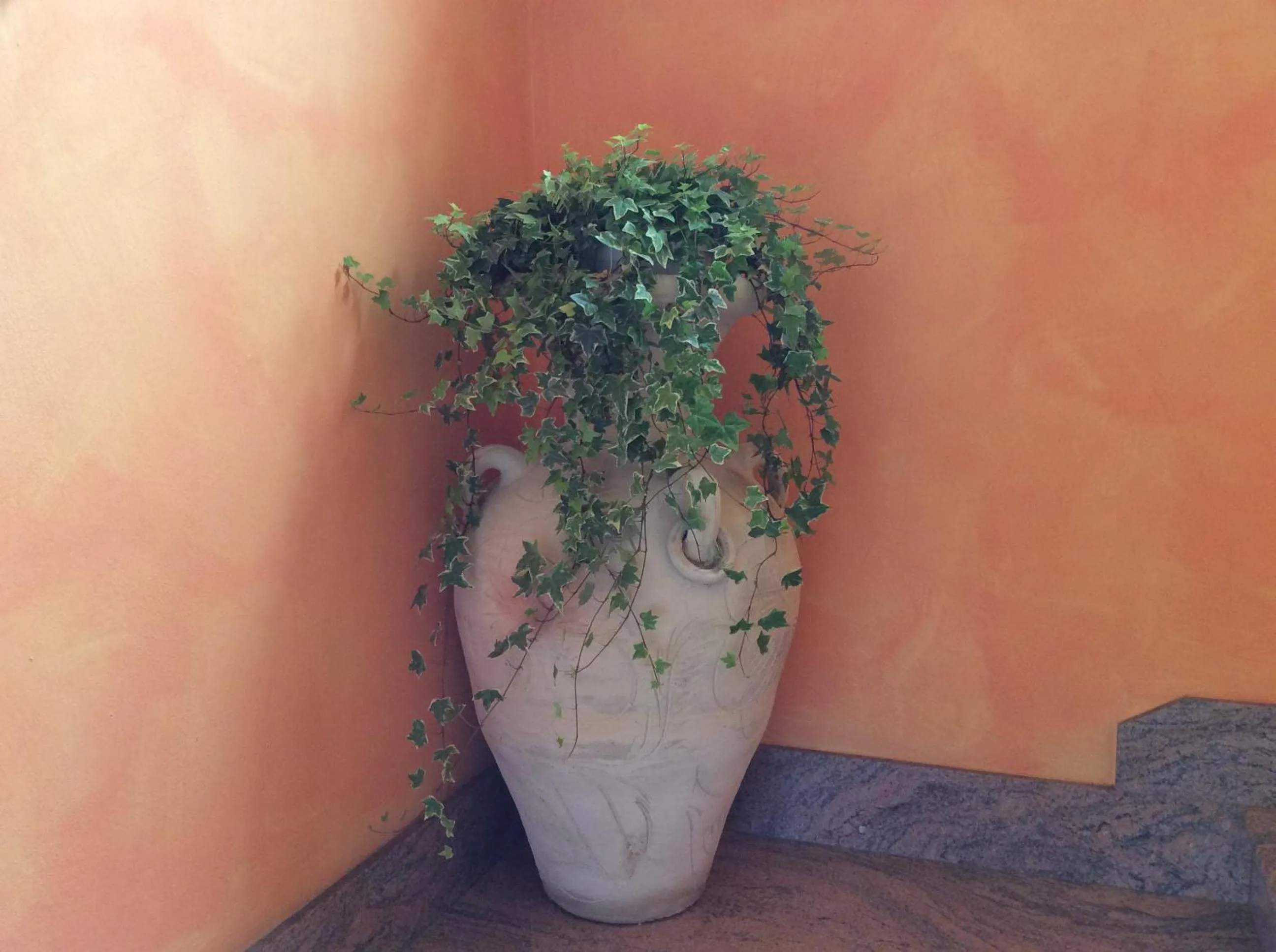 Decorative detail in Hotel Villa Rosa