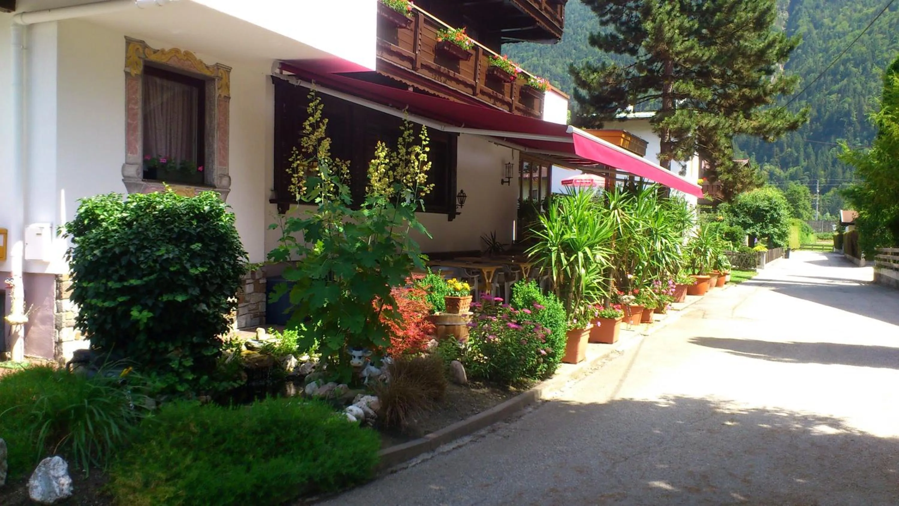 Day in Gasthof Pension Alpenblick