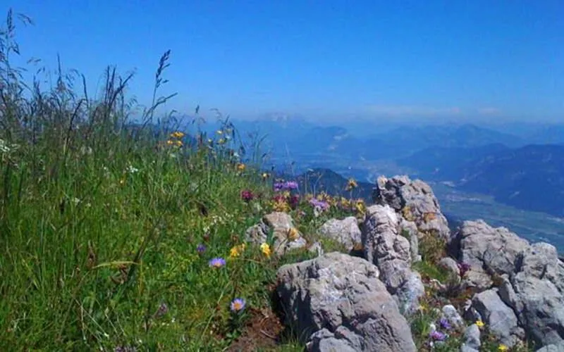 Day in Gasthof Pension Alpenblick