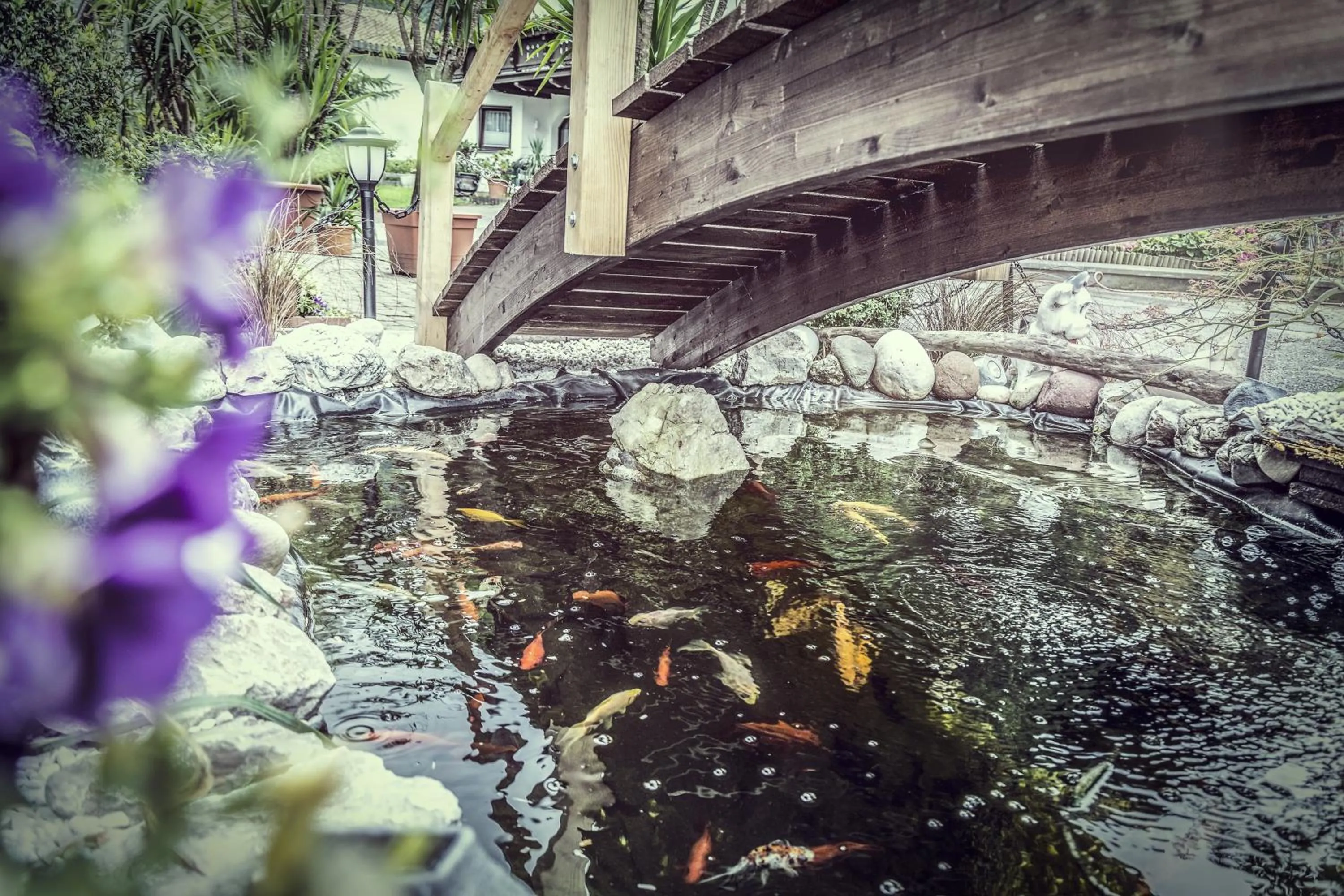 Day in Gasthof Pension Alpenblick