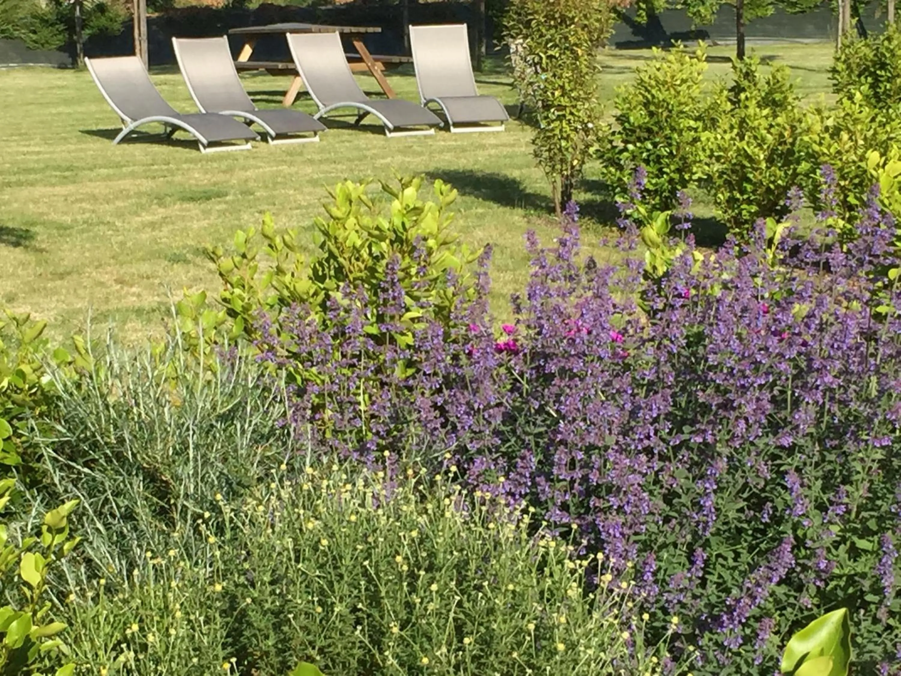 Garden in Domaine du Grenier