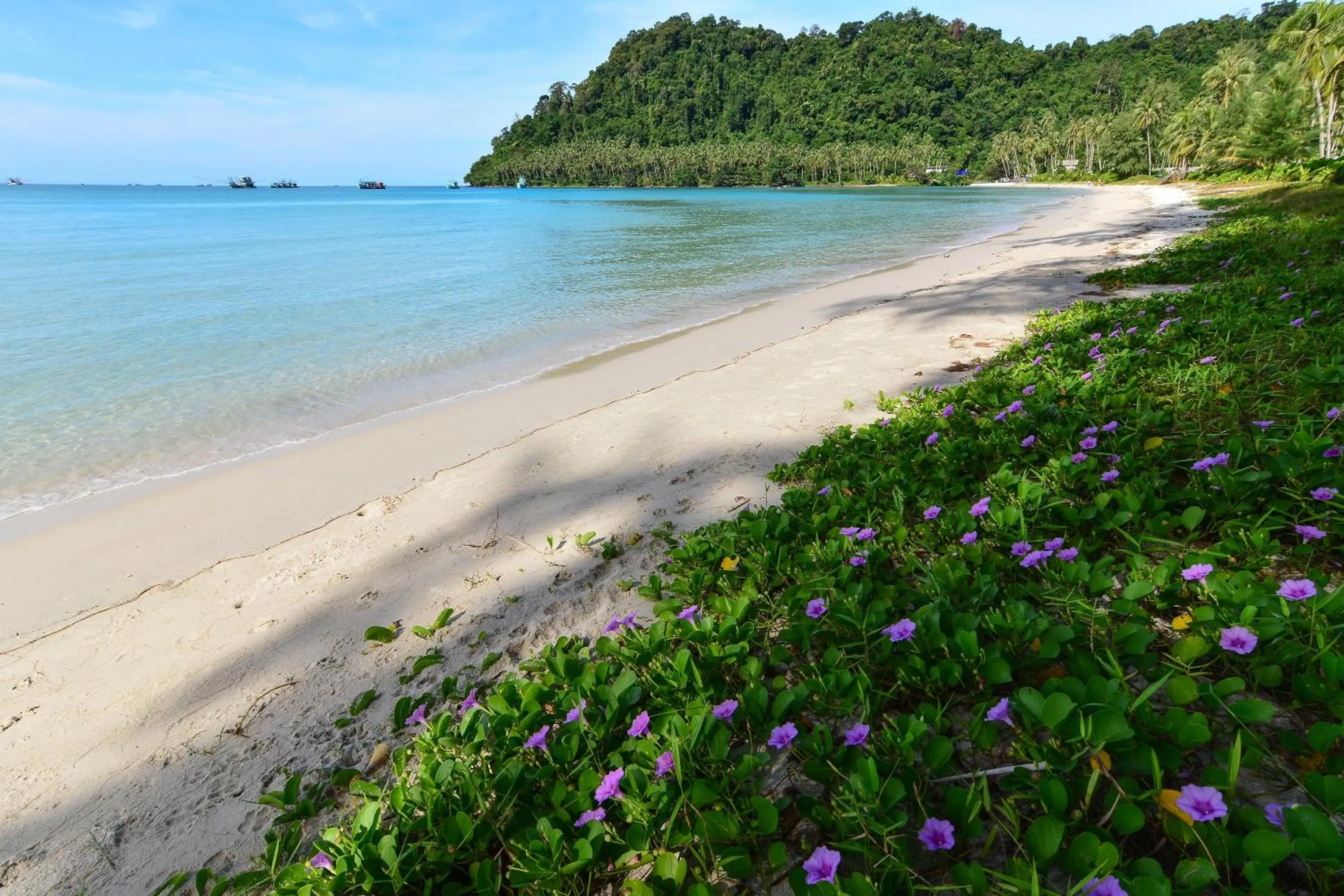 Escape Life Koh Kood