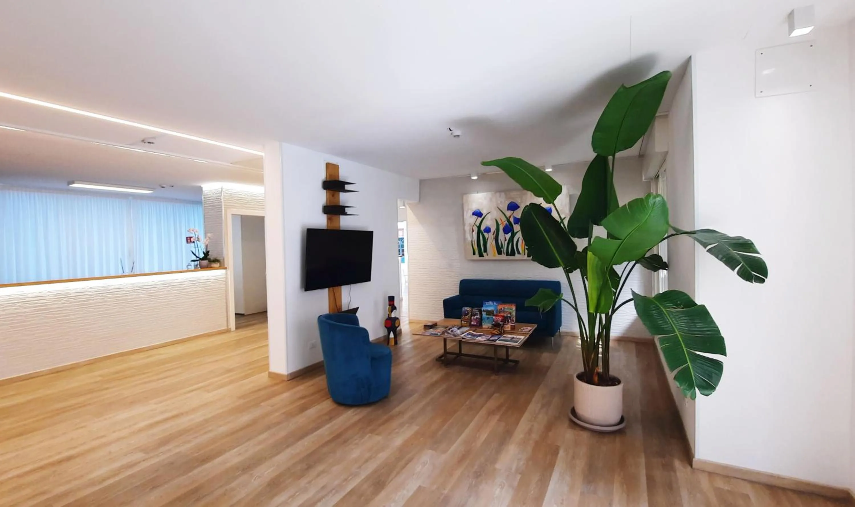 TV and multimedia in Villa Serena