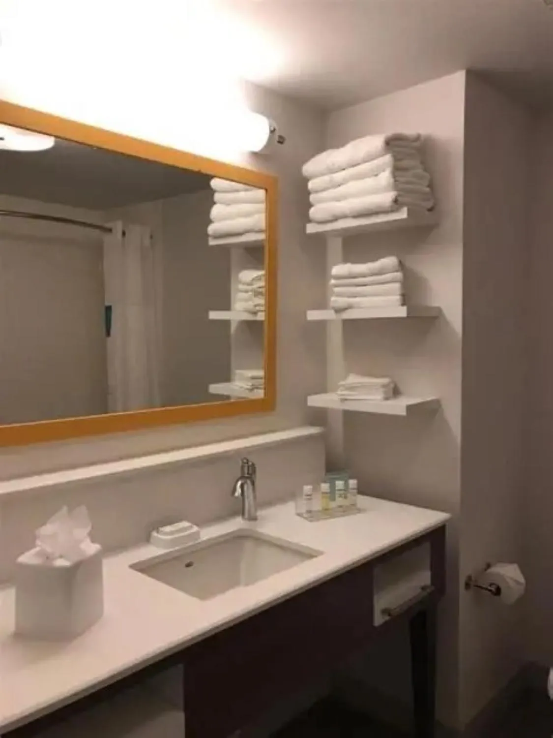 Bathroom in Hampton Inn & Suites San Jose Airport