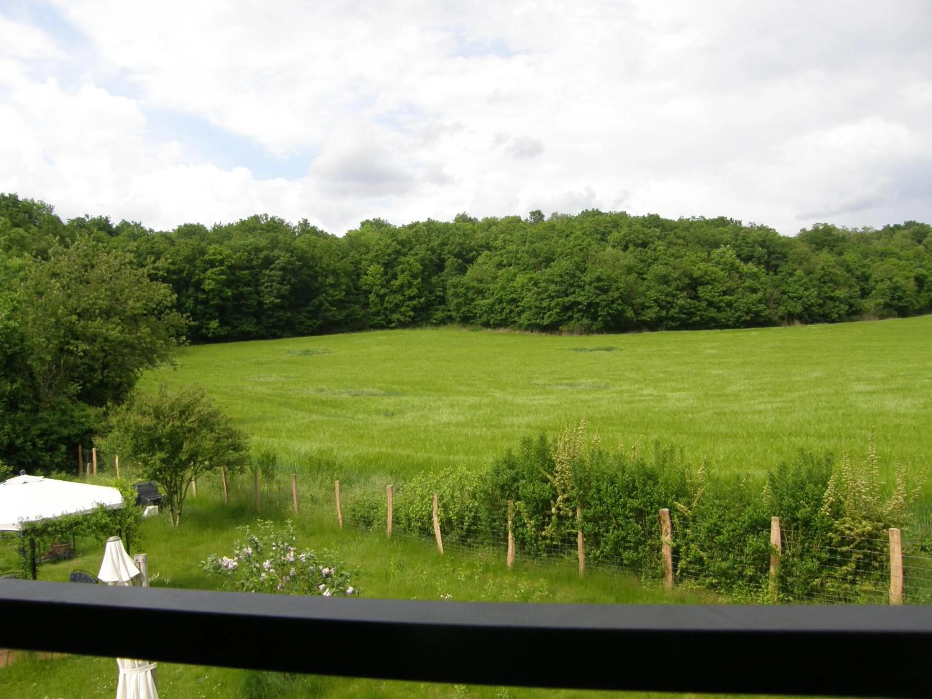 Garden view in La Raimbaudière