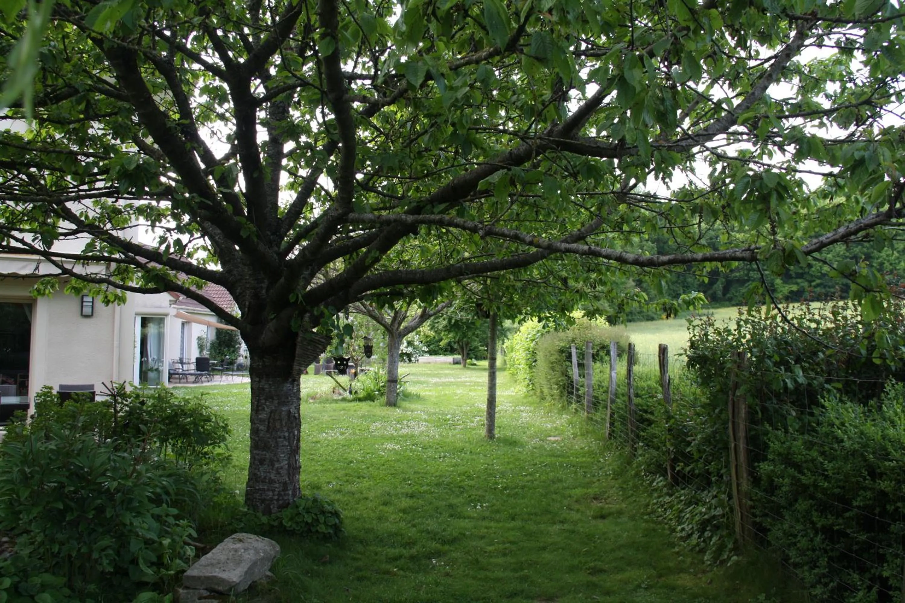 Garden in La Raimbaudière