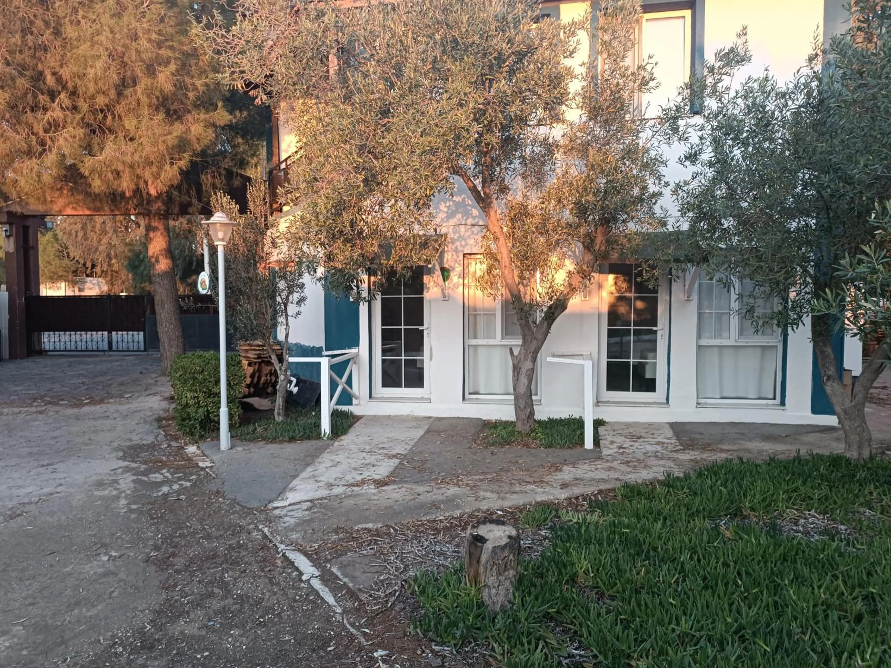 Teos Ormanci Tatil Koyu