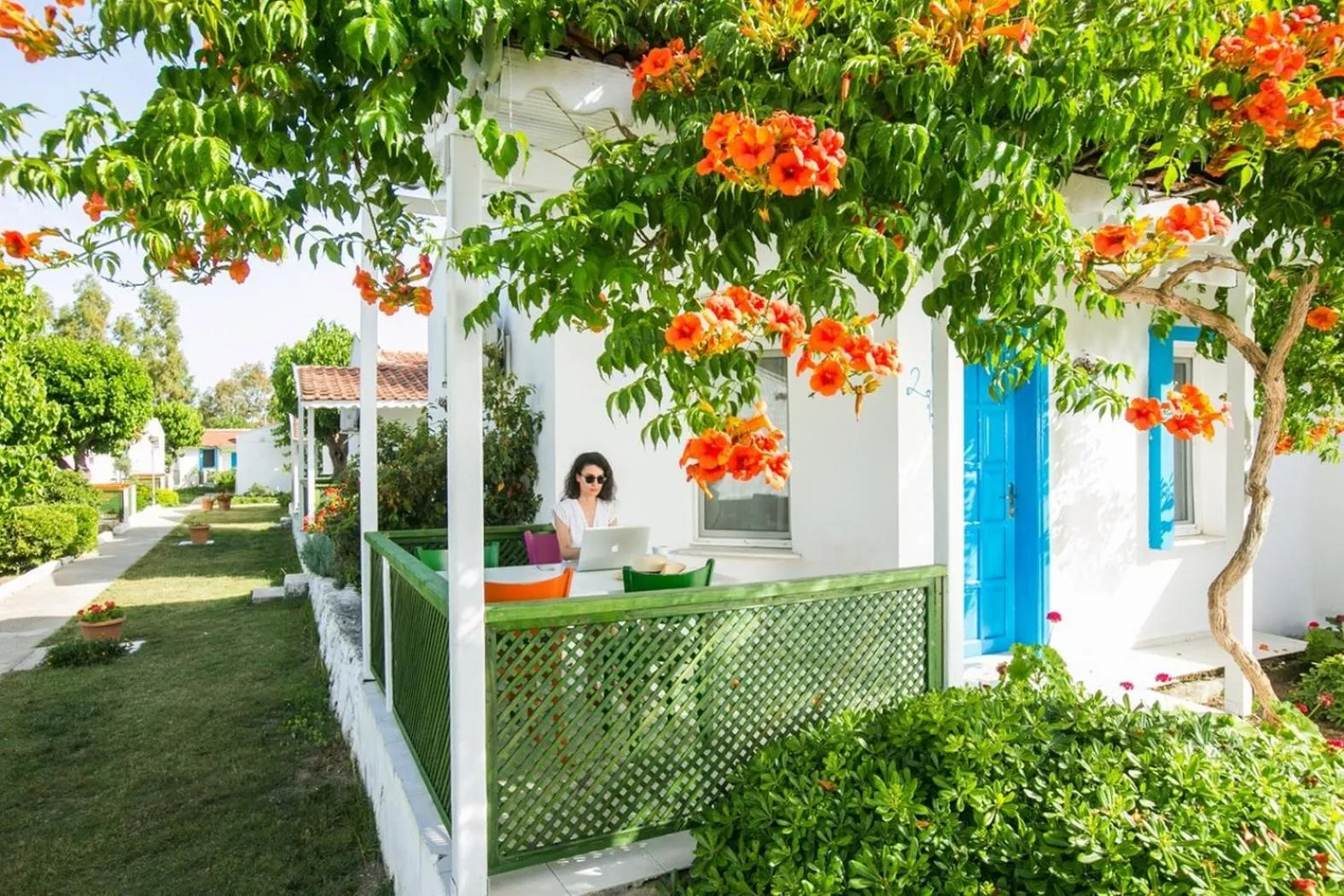 Teos Ormanci Tatil Koyu