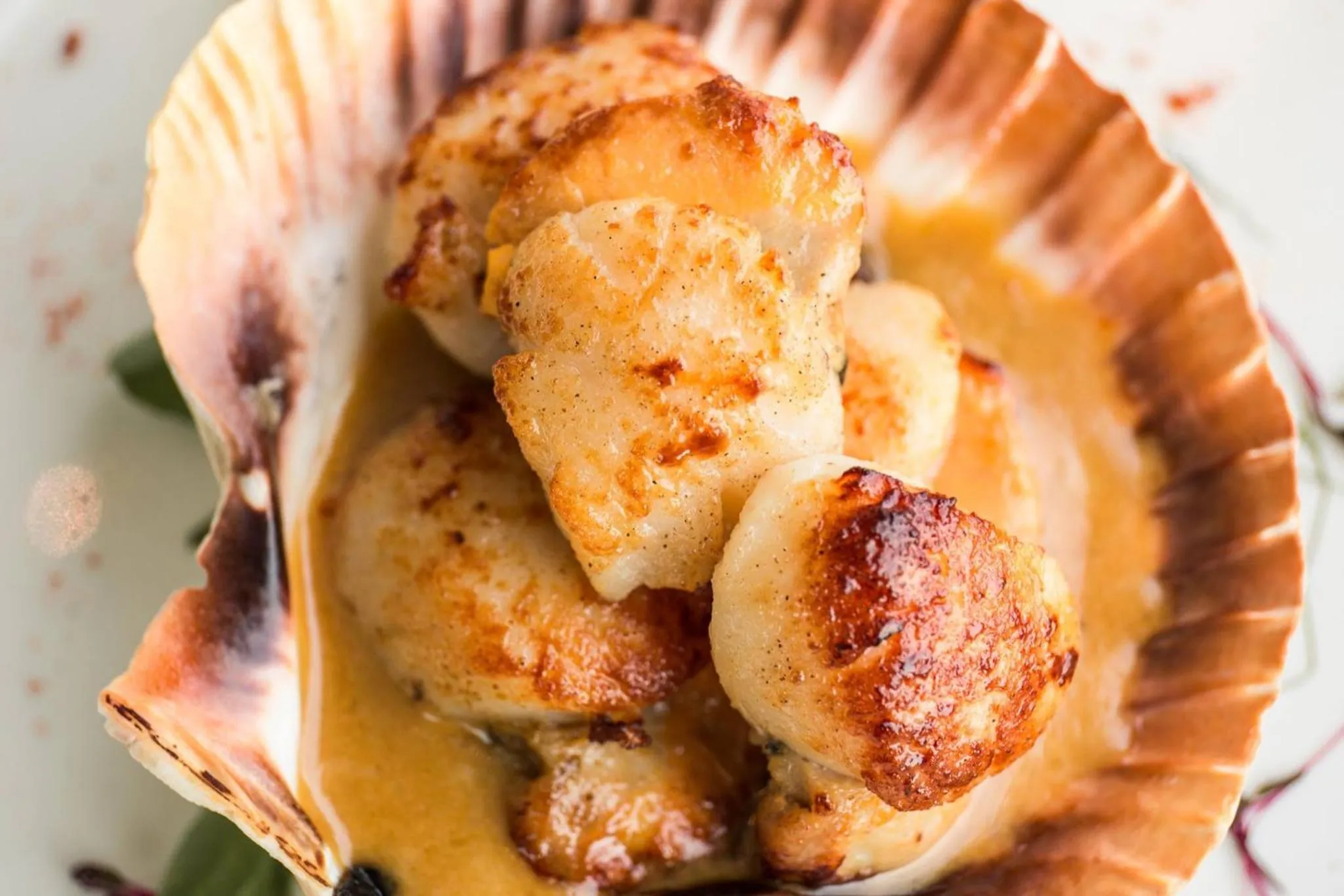 Food and drinks in The Pickwick Inn & Oliver's Restaurant