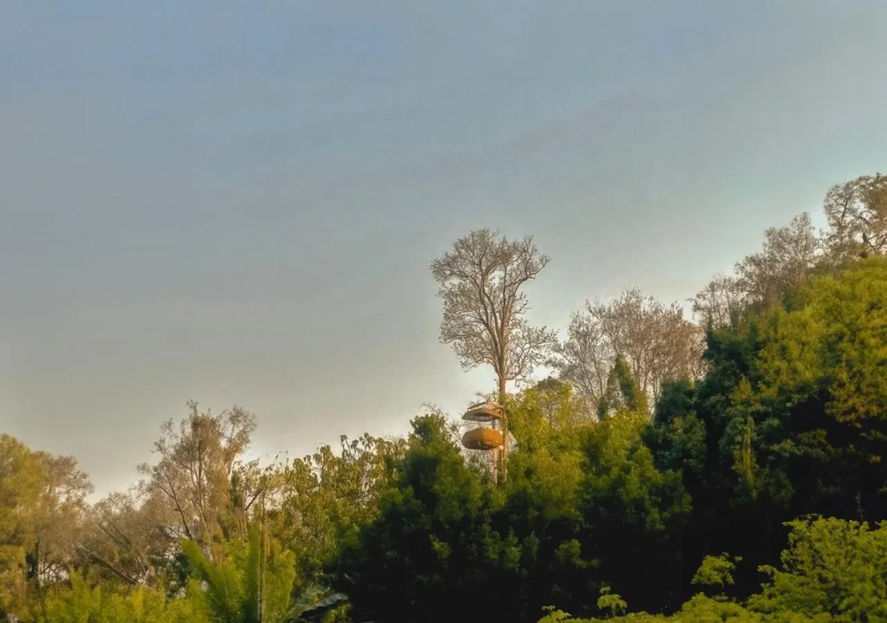 Restaurant/places to eat in Anantara Golden Triangle Elephant Camp & Resort