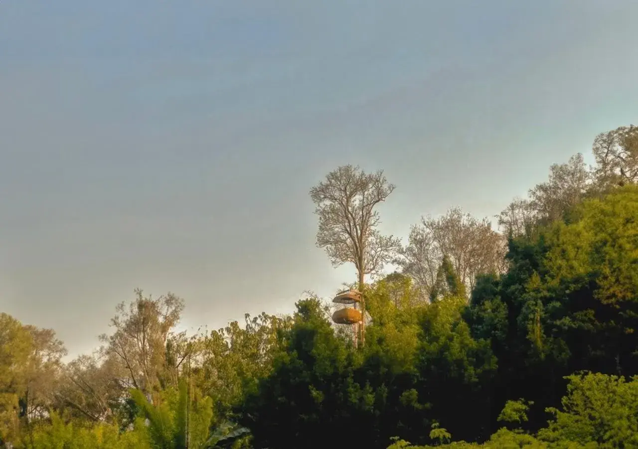 Restaurant/places to eat in Anantara Golden Triangle Elephant Camp & Resort Restaurant/places to eat in Anantara Golden Triangle Elephant Camp & Resort