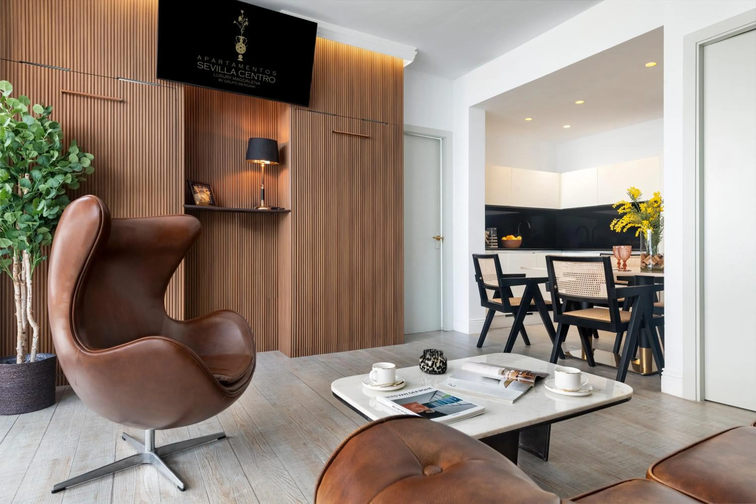 TV and multimedia in Apartamentos Sevilla Centro