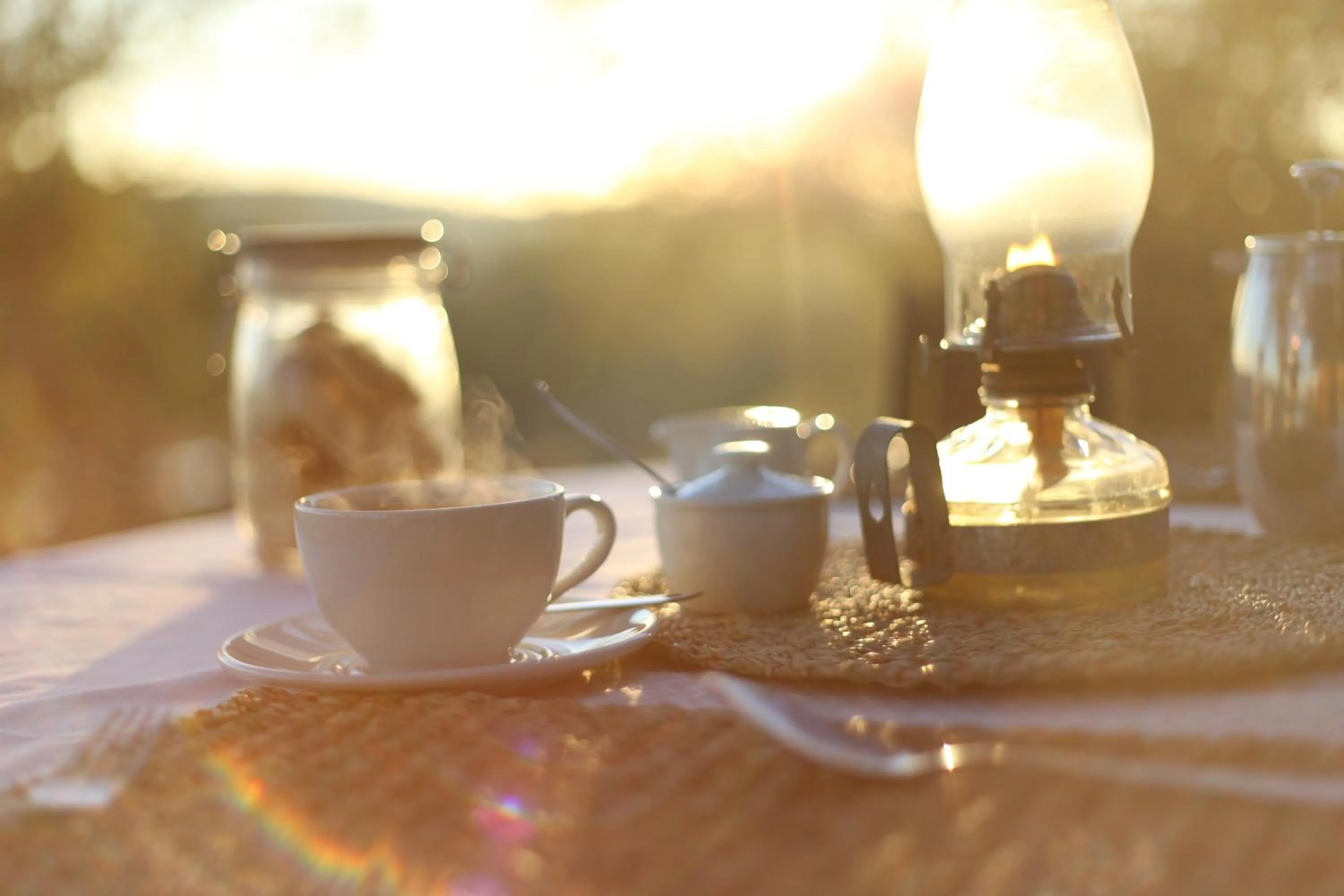 Ivory Wilderness River Rock Lodge