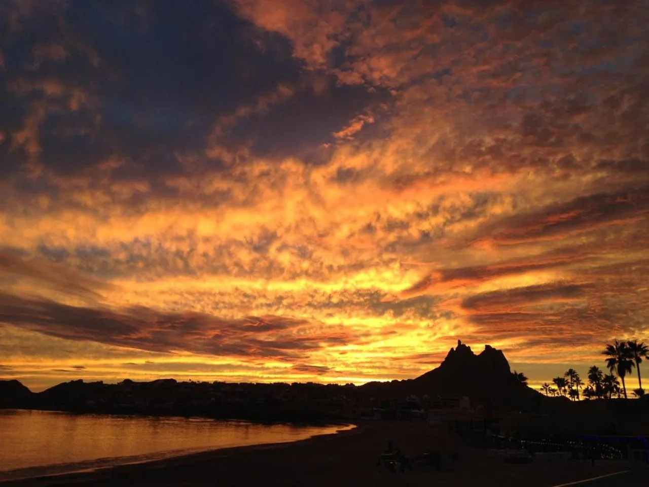 Natural landscape in Condominios San Carlos