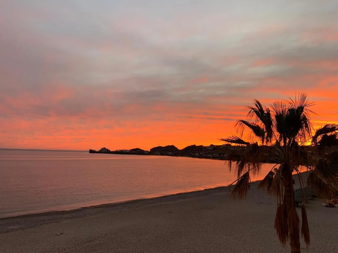 Natural landscape in Condominios San Carlos