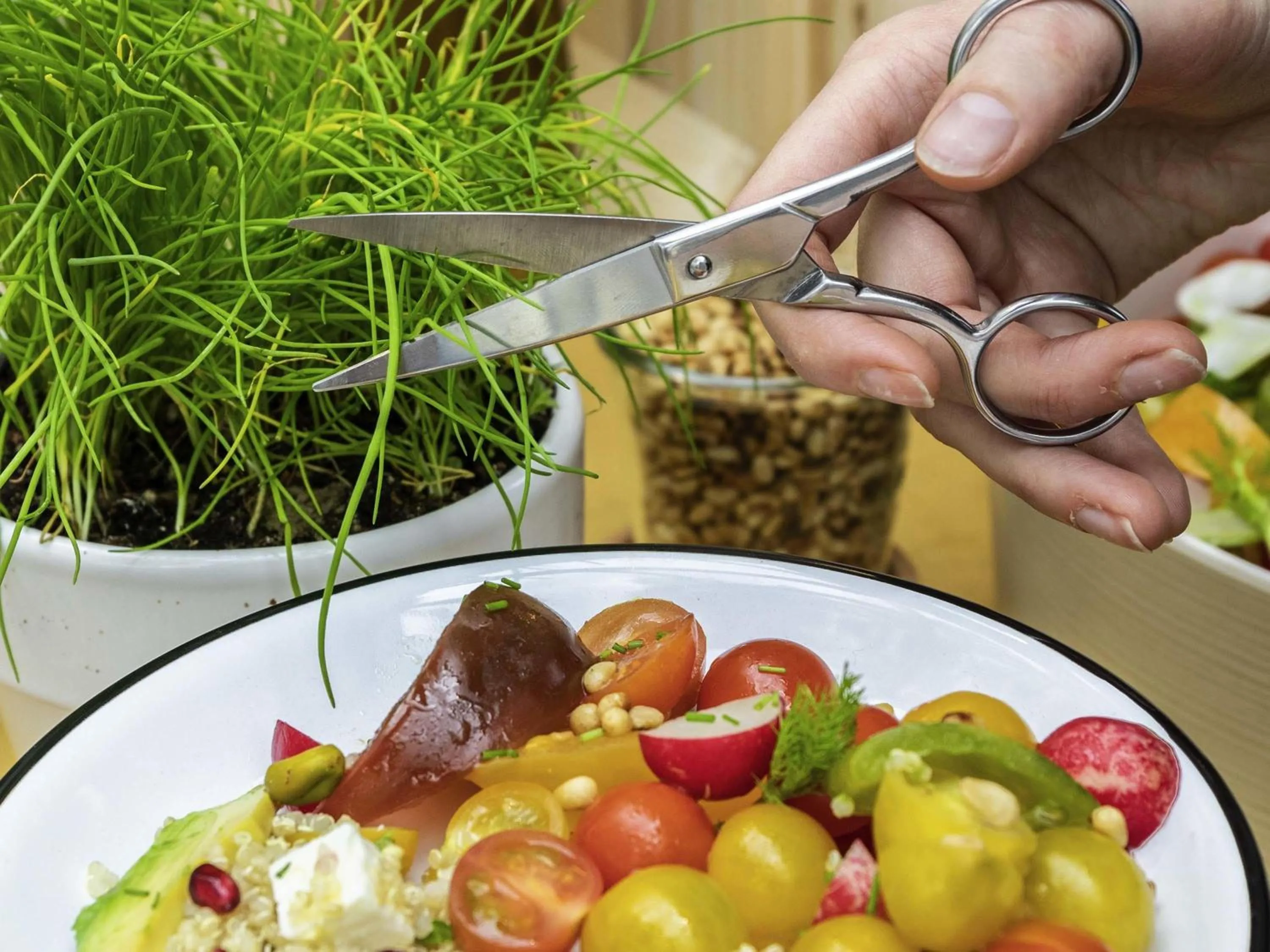 Lounge or bar in Hotel Mercure Krynica Zdrój Resort&Spa