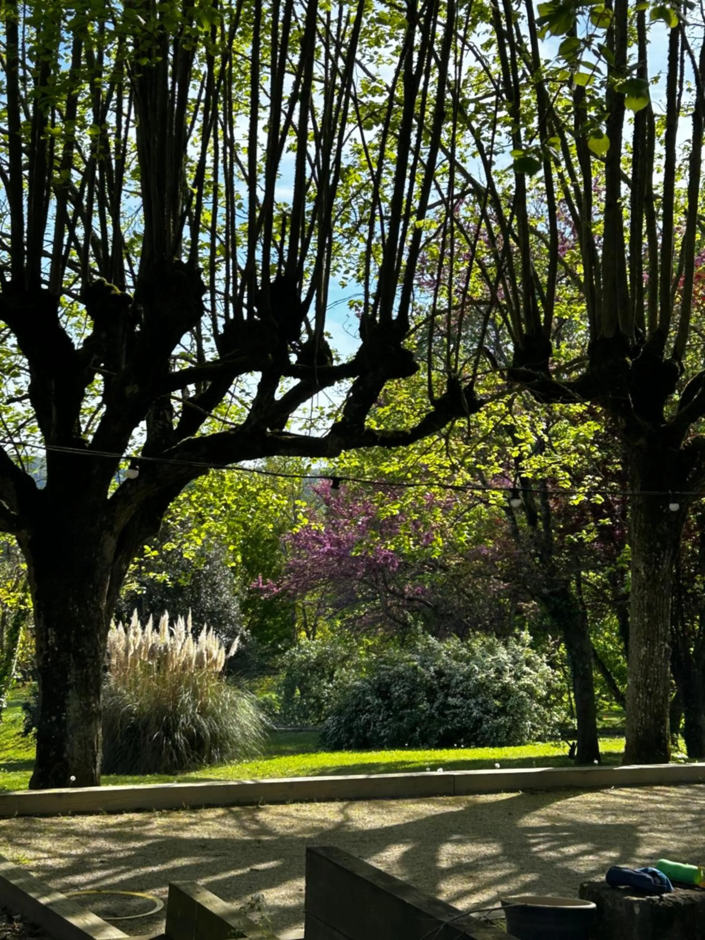 Au Bonheur Dupré B&B
