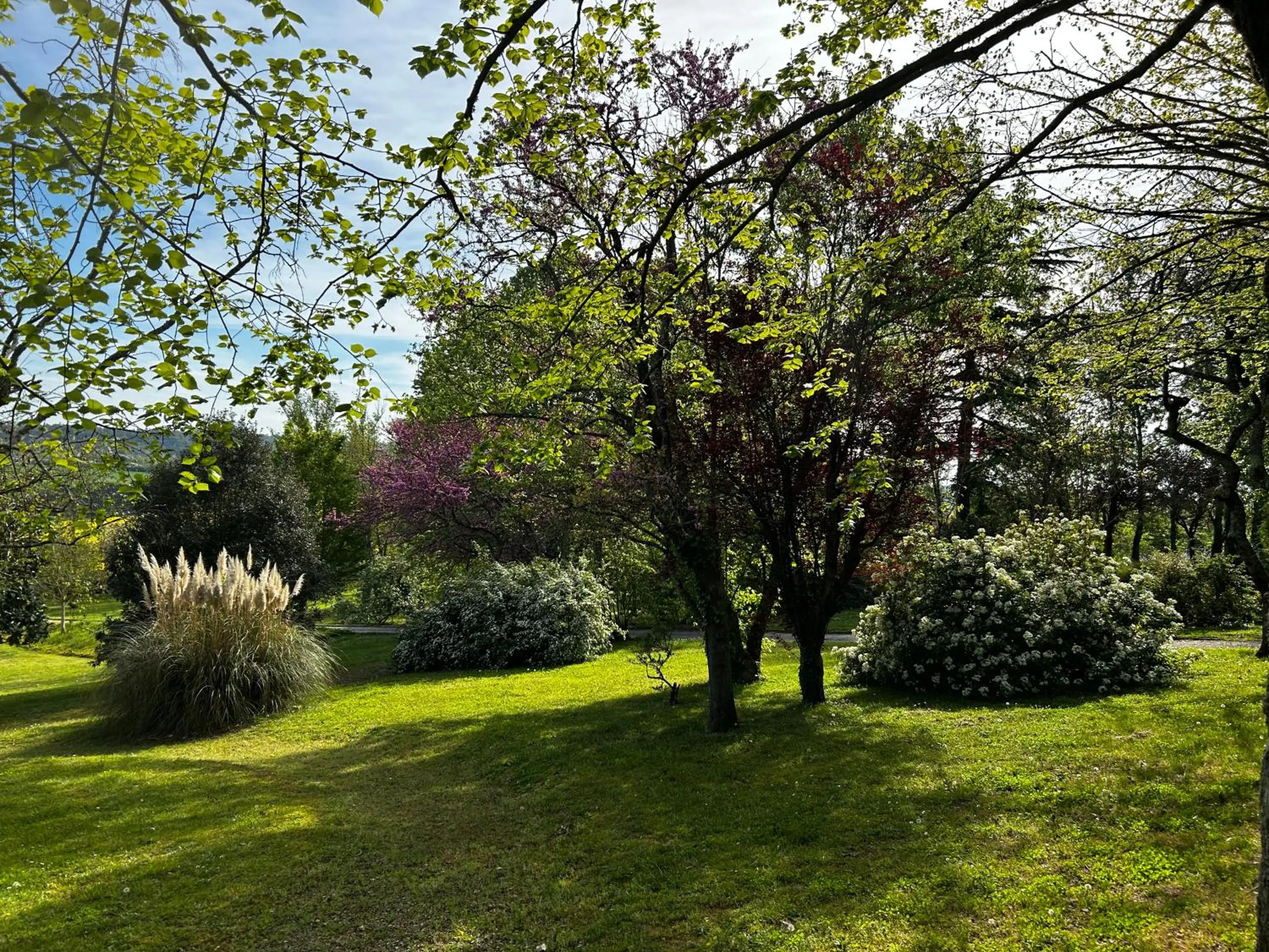 Au Bonheur Dupré B&B