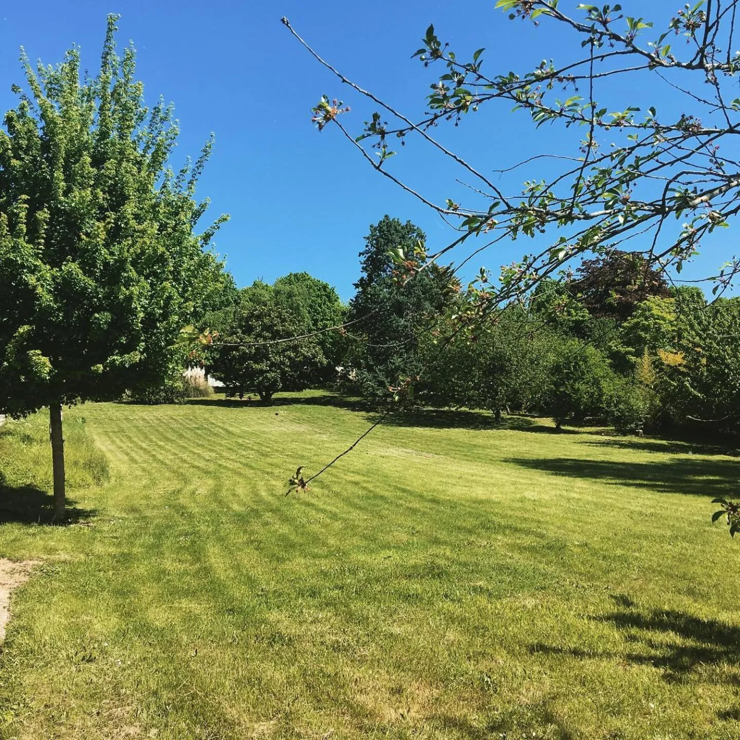 Garden in Au Bonheur Dupré B&B